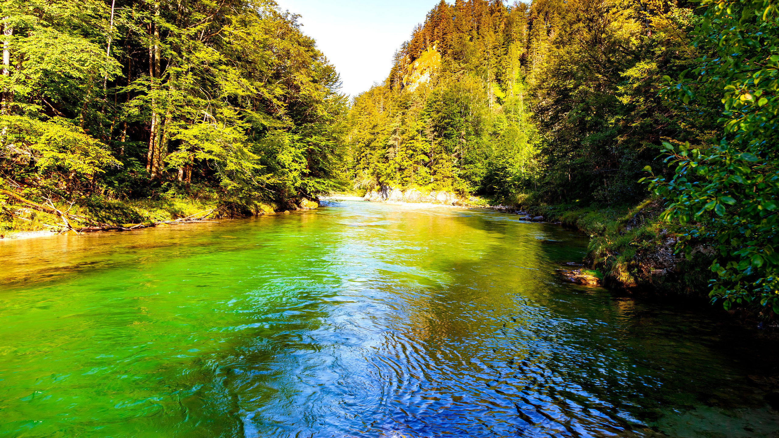 193.Wasserloch Klamm.Palfau.18.8.2025. Путешествия в формате 360......