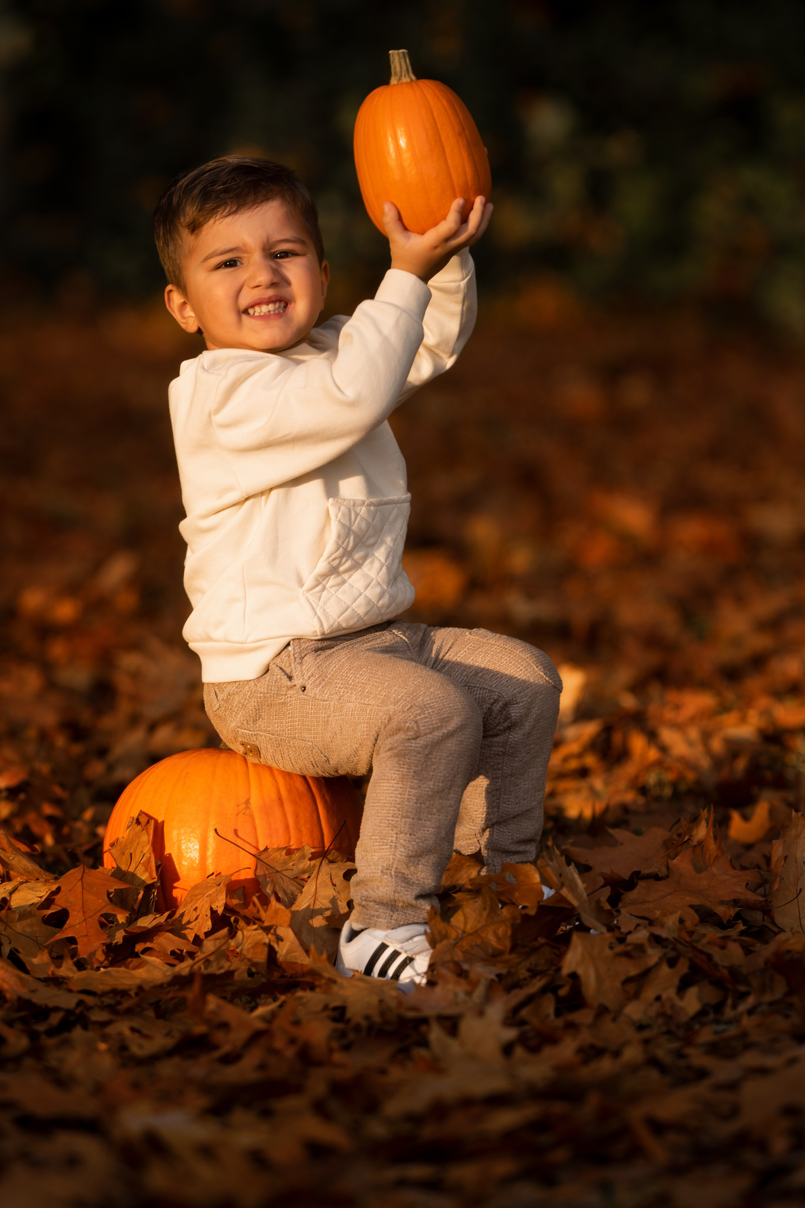 Herbstfotoshootings. Hochzeitfotografin in Lübbecke, Bielefeld, Espelkamp, NRW  Deutchland