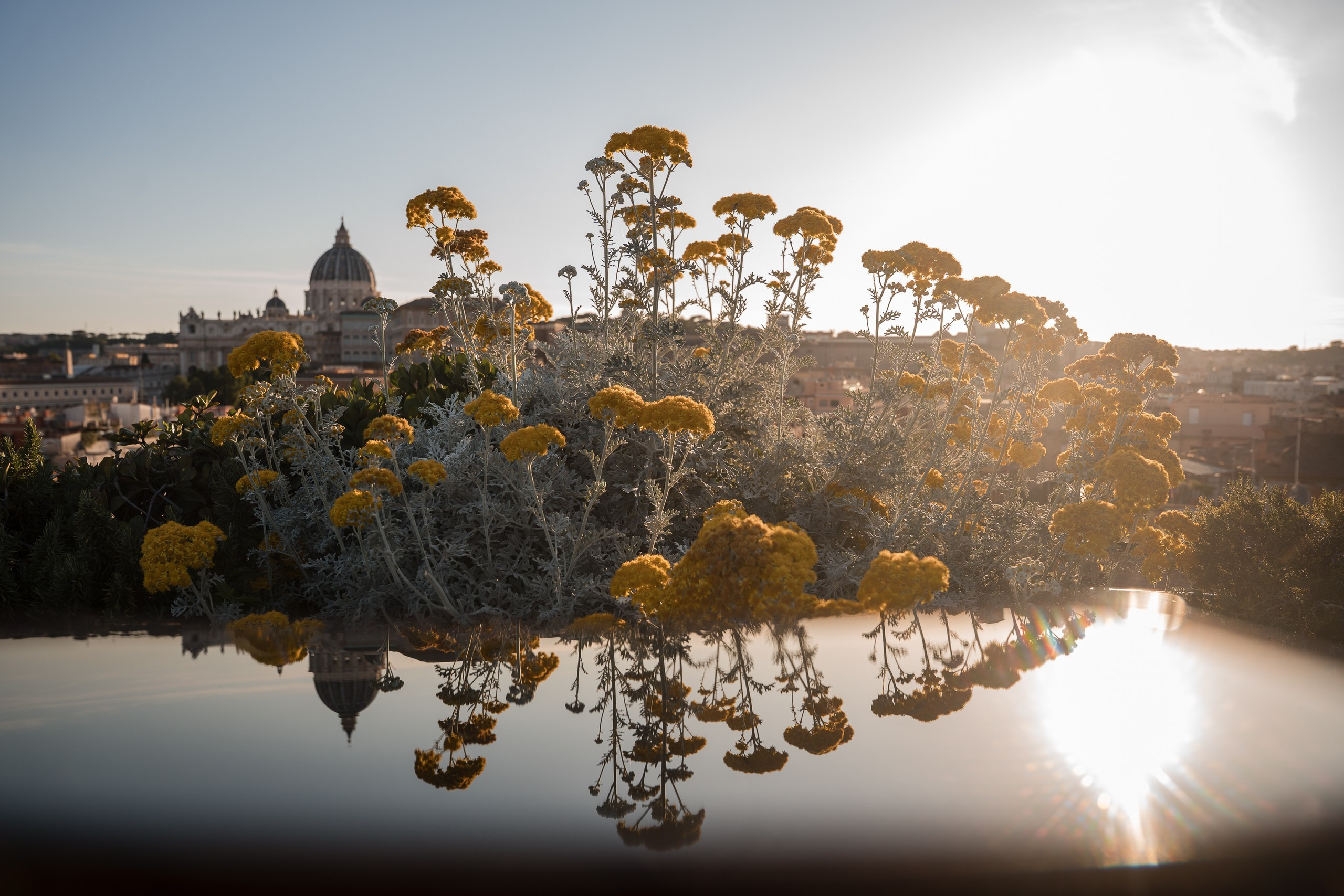 Ludovica e Antonio, Roma. Fotografia e video