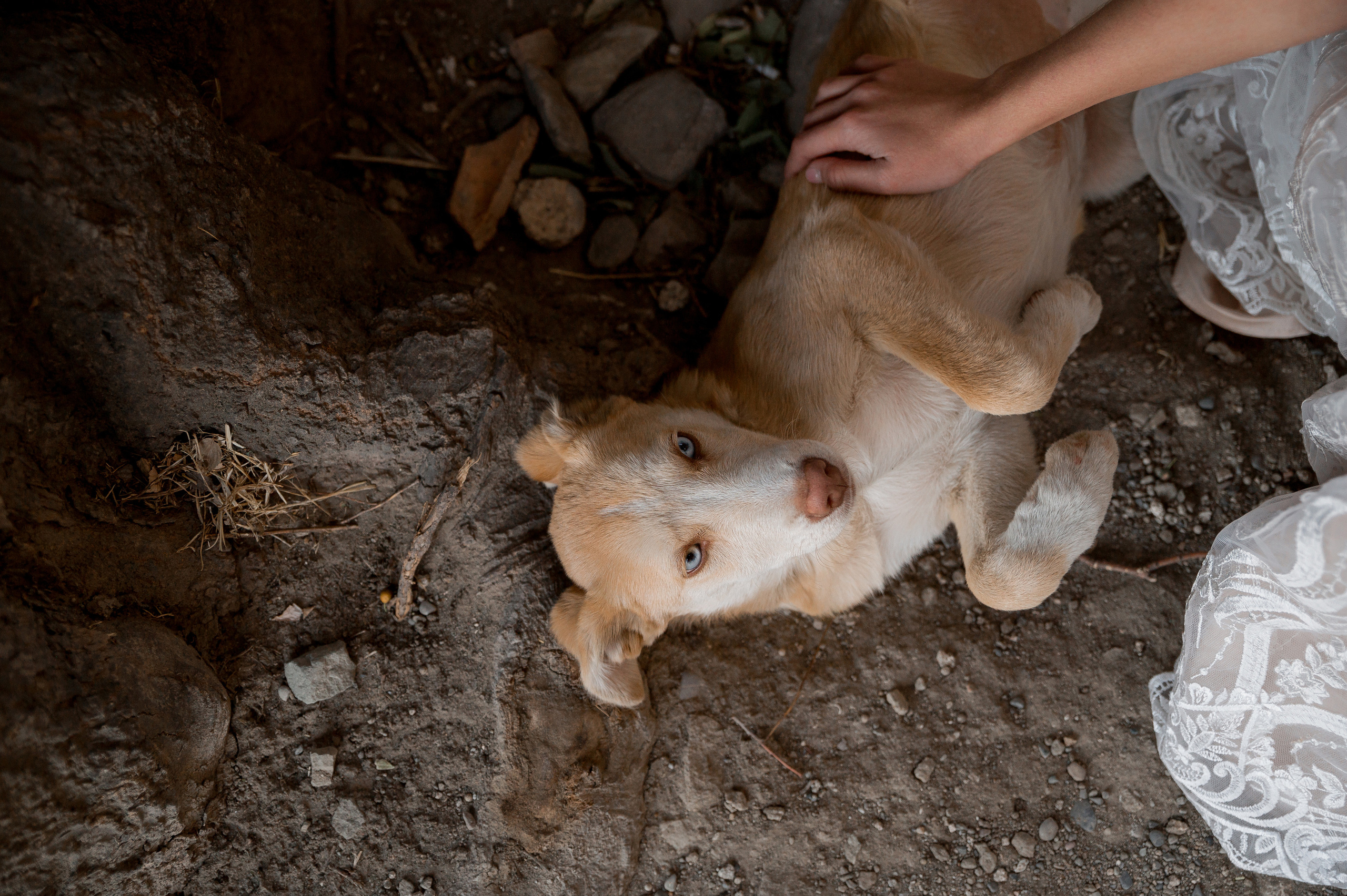 Мария и Алексей. Свадебный и семейный фотограф Екатерина Шестакова