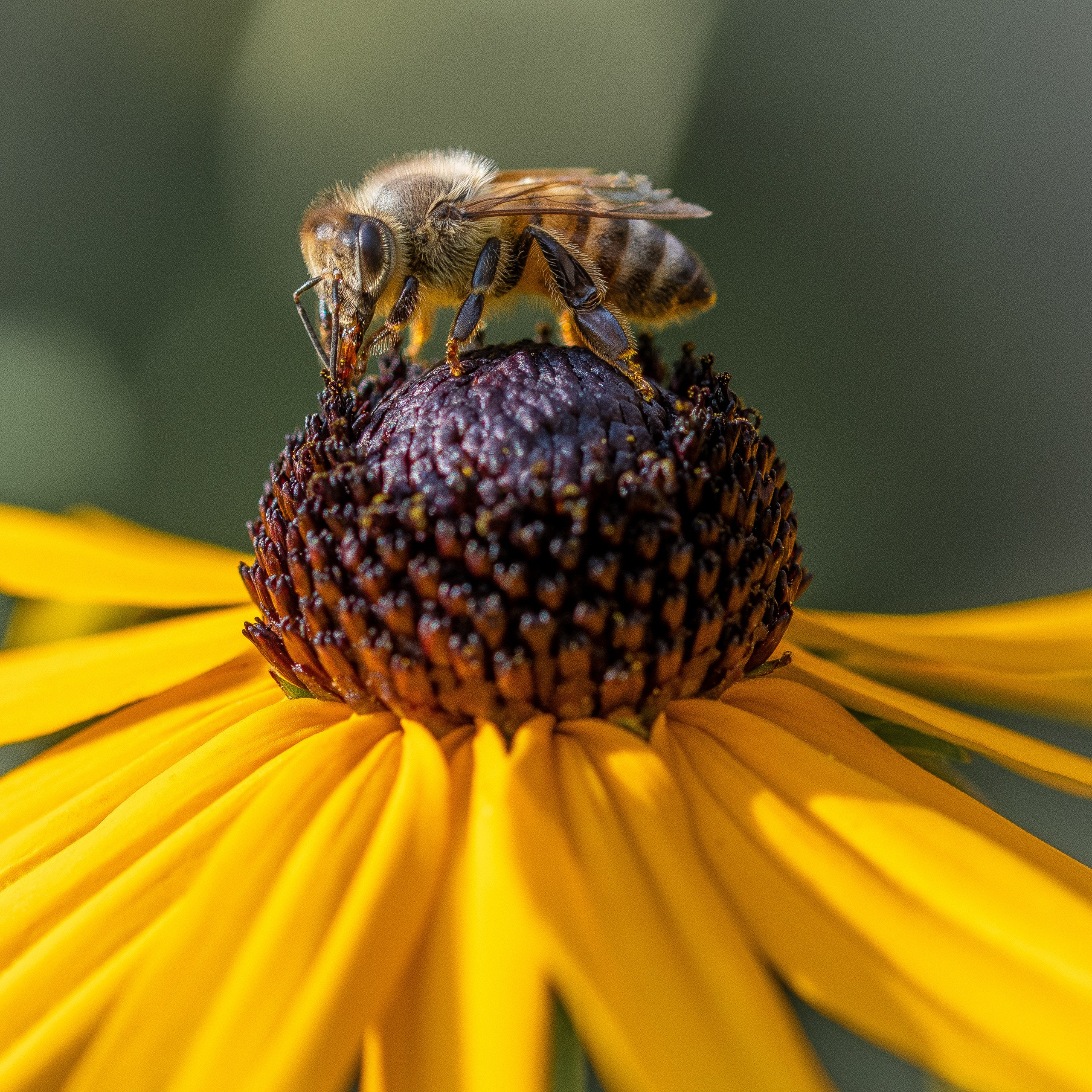 “Gianmaria Coscia fotografo per passione”