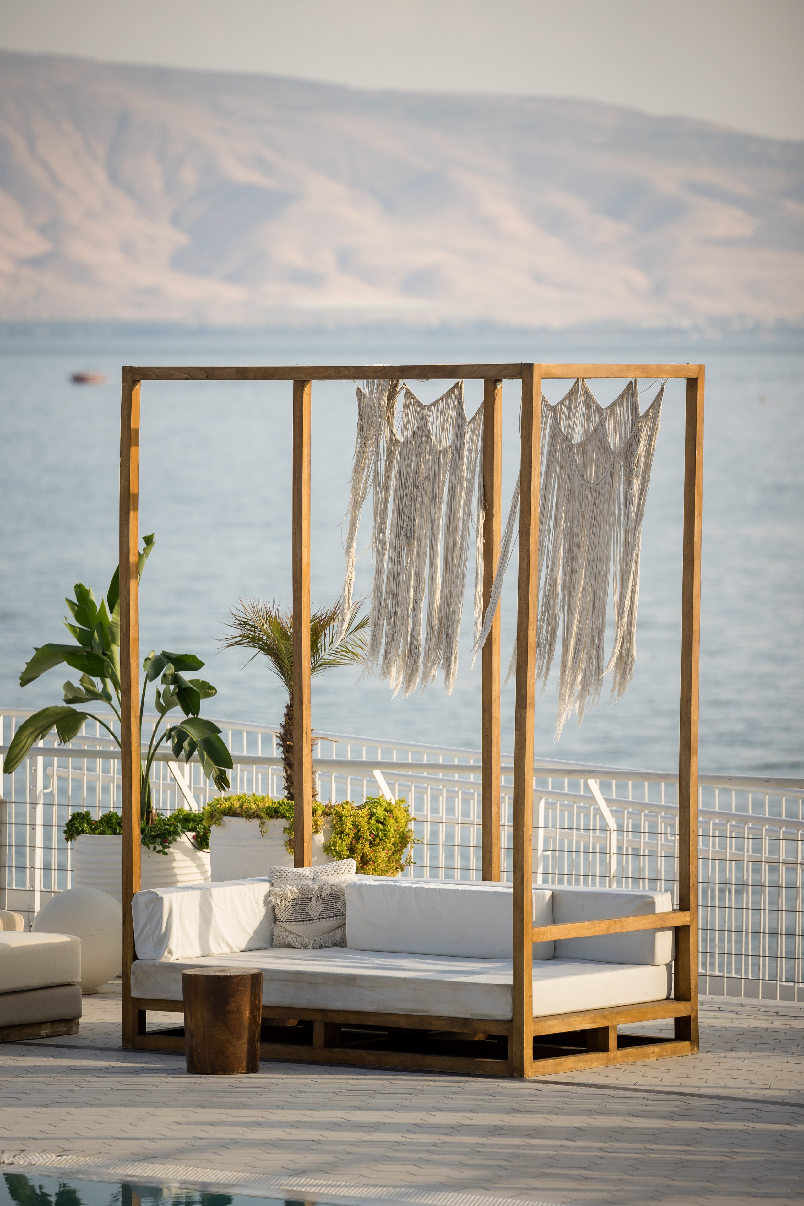 זרעי גדרה — SYNGENTA. AMIR BUCHNIK PHOTOGRAPHER