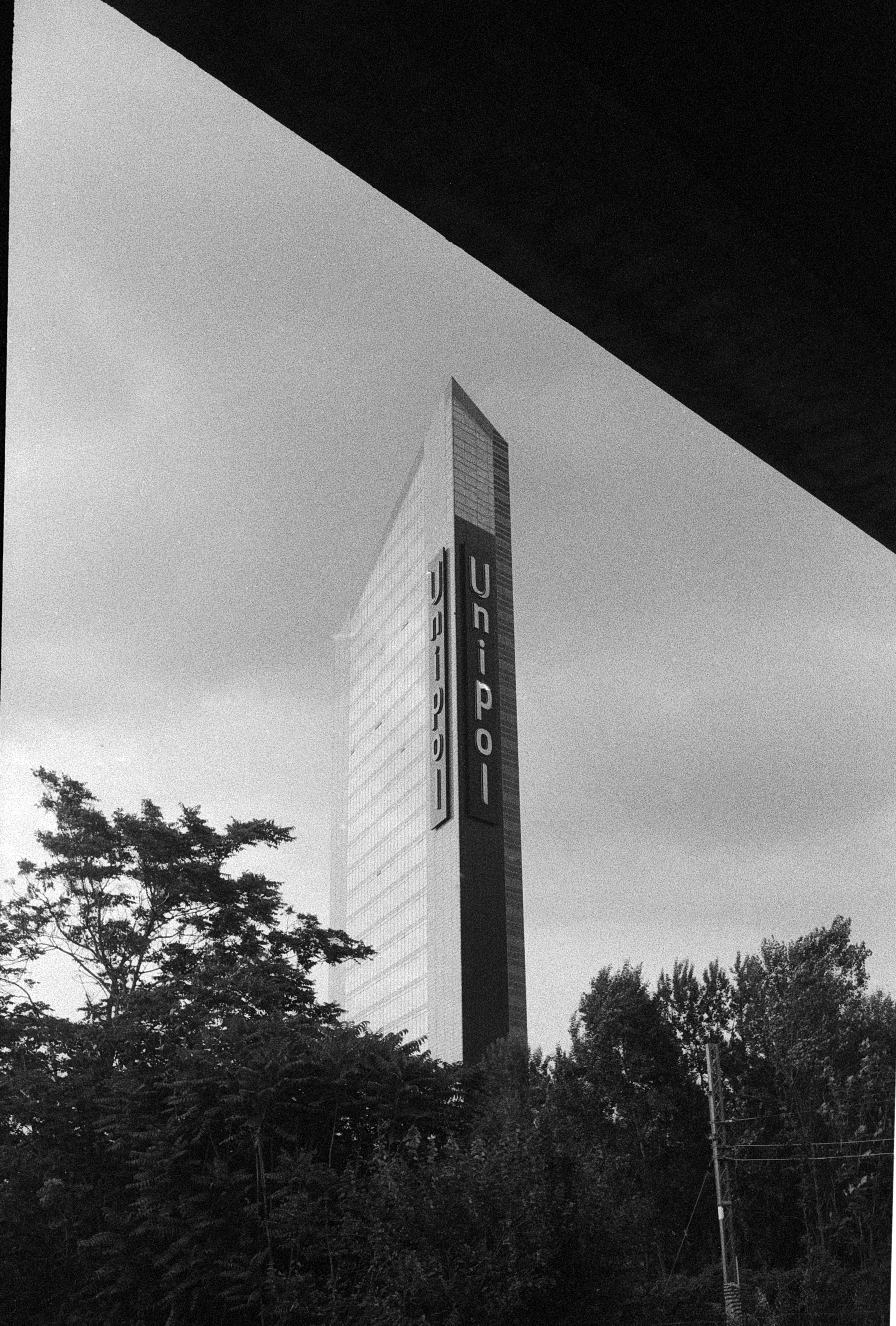 Analogica. Frank Prochilo Photography