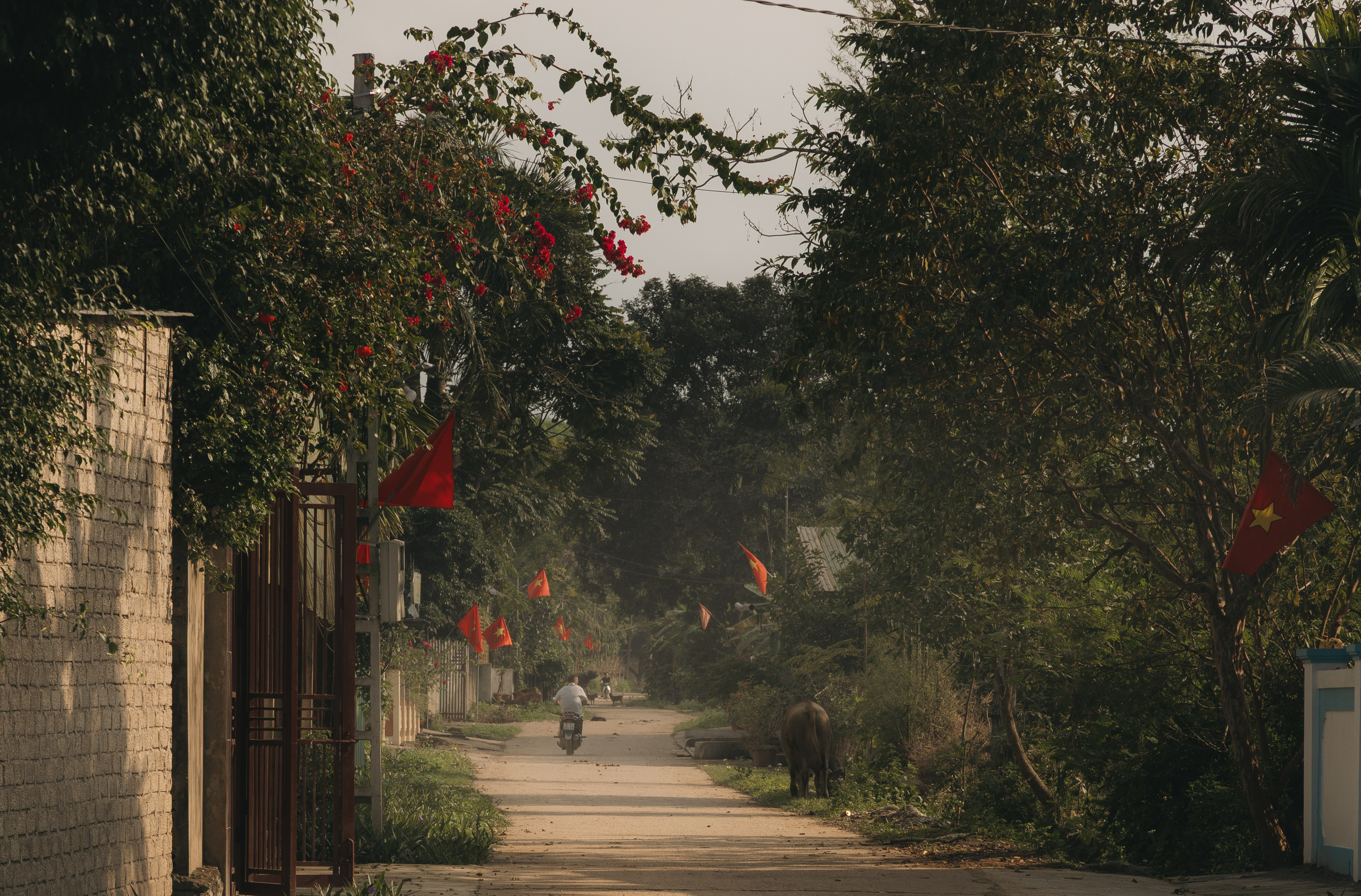 Vietnam 2023. A-r.studio