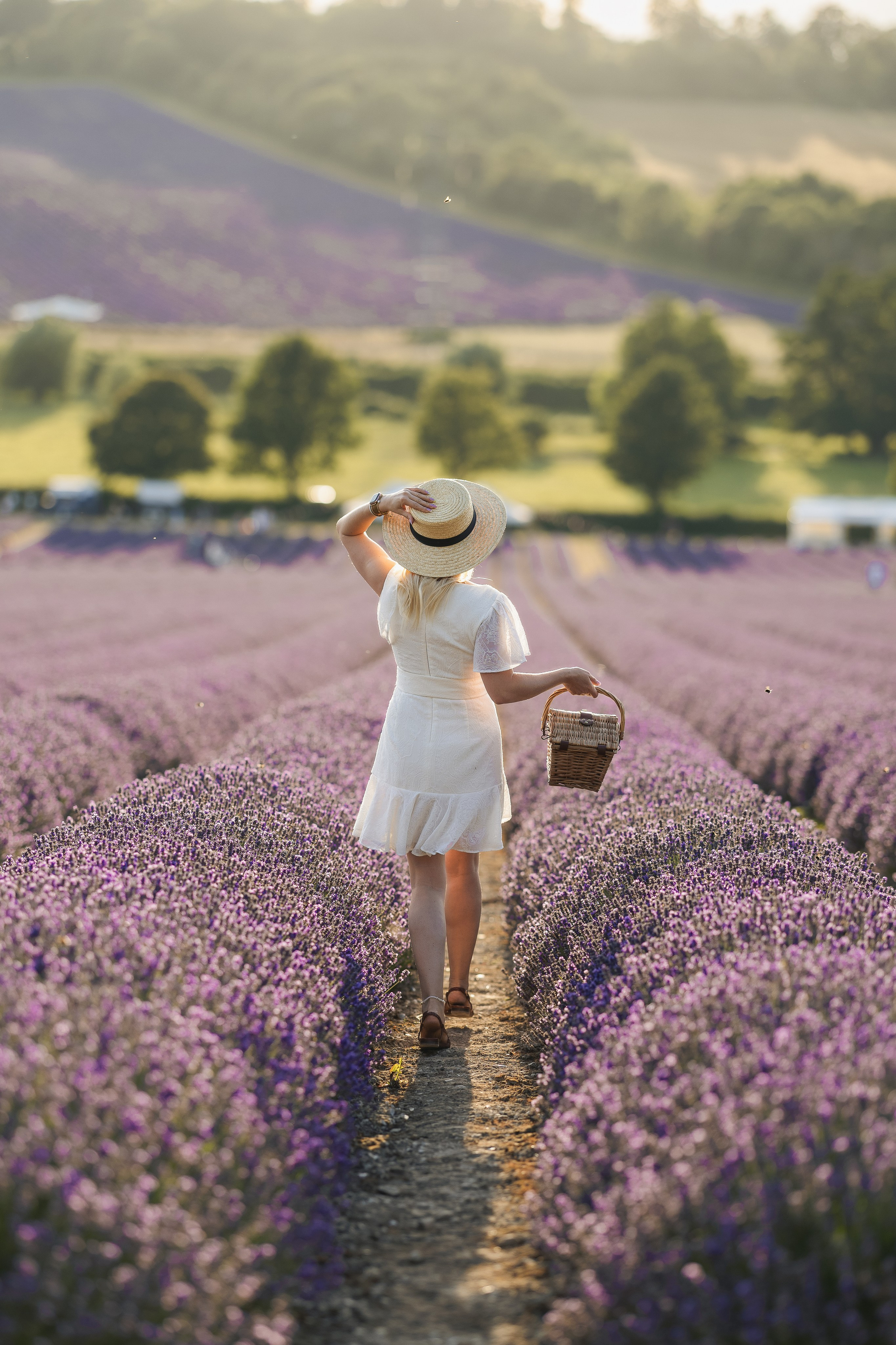 Lavender Picnics. PHOTOGRAPHER IN LONDON
