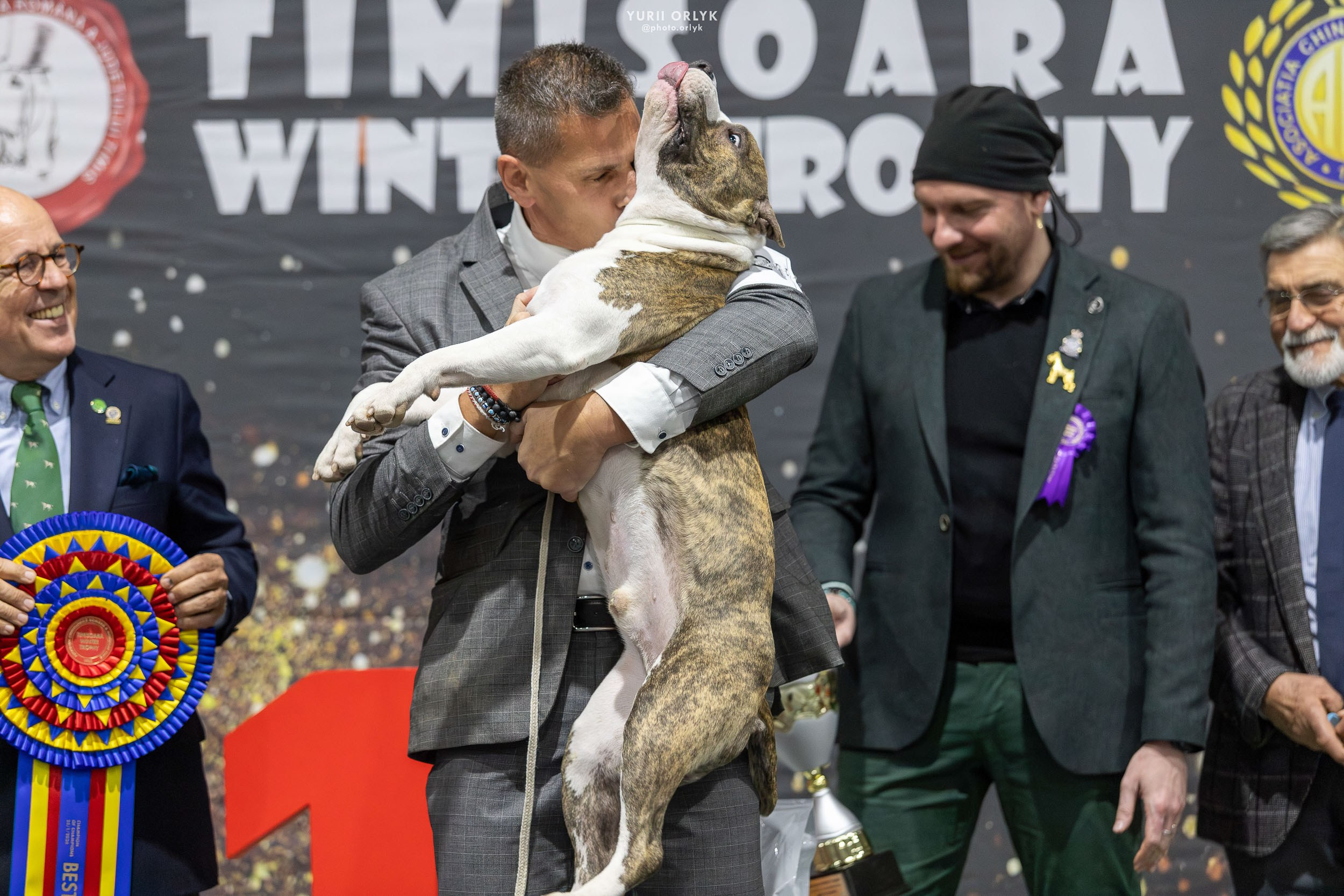 Dog Shows. Yurii Orlyk Photography