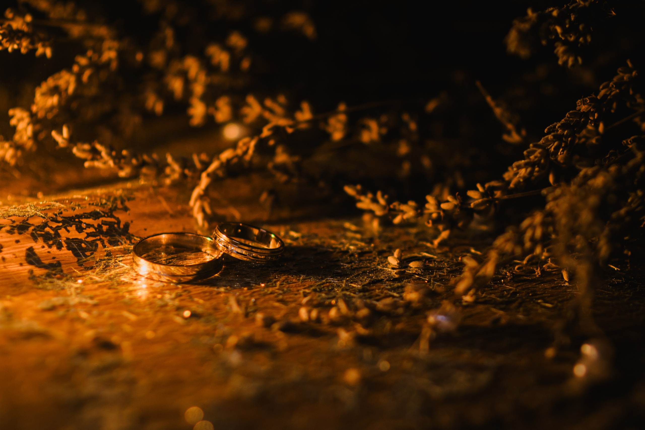 Diana & Bogdan. Giani Maftei