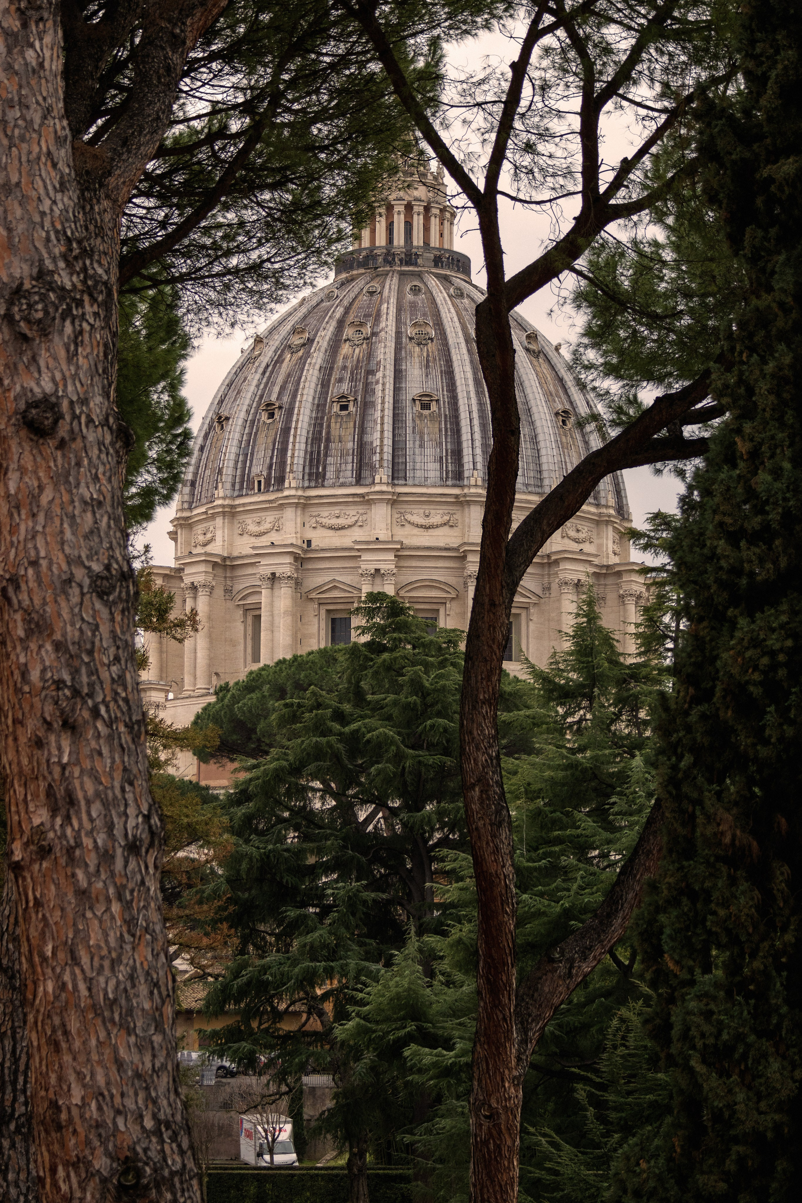 Roman Holiday. Portrait and still life photographer. Designer, photographer, and illustrator