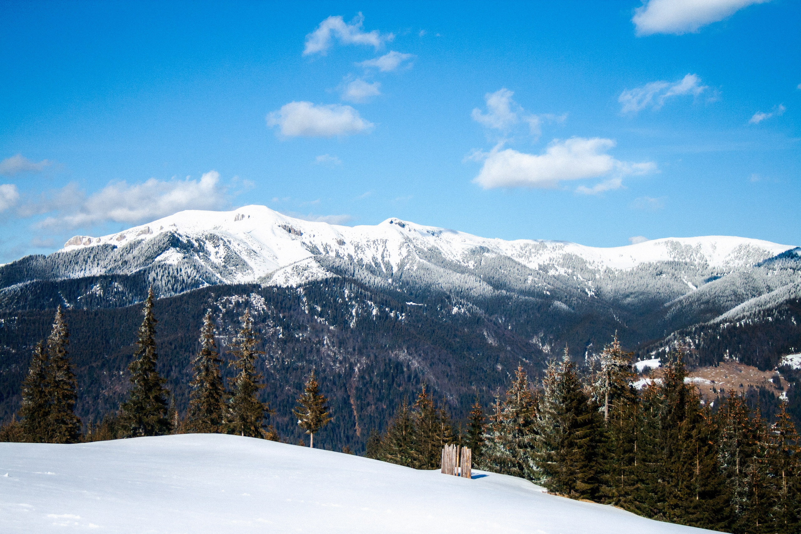 Mountain landscapes. Portrait and still life photographer. Designer, photographer, and illustrator