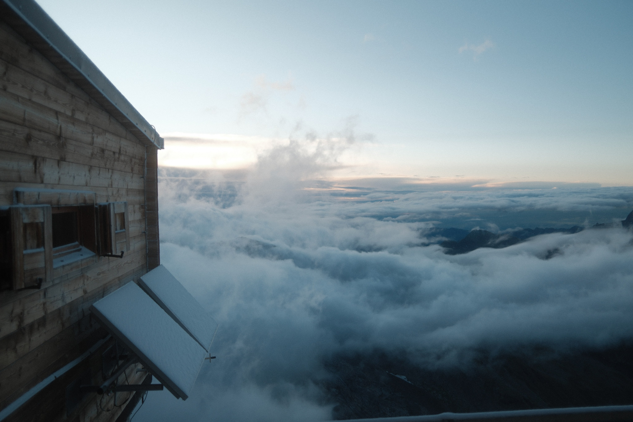 Castor. Patricia Morenci — Mountain Adventures for the Wild at Heart