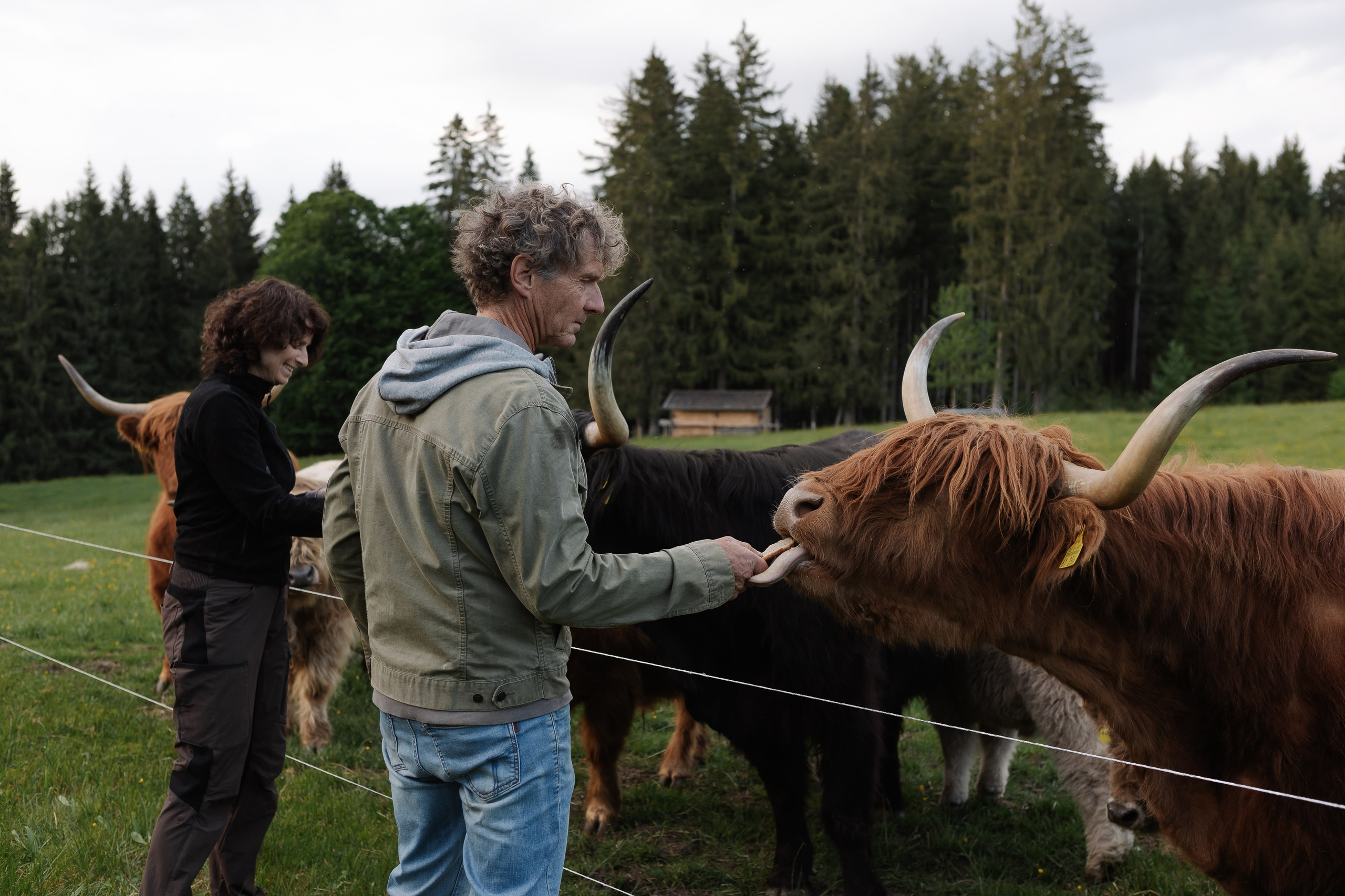Reportage-Shooting. Fotografin Larysa Chepurko| Füssen| Garmisch-Partenkirchen| Weilheim| Schongau| Murnau| München | Hochzeitsfotograf Füssen | Larysa Photo