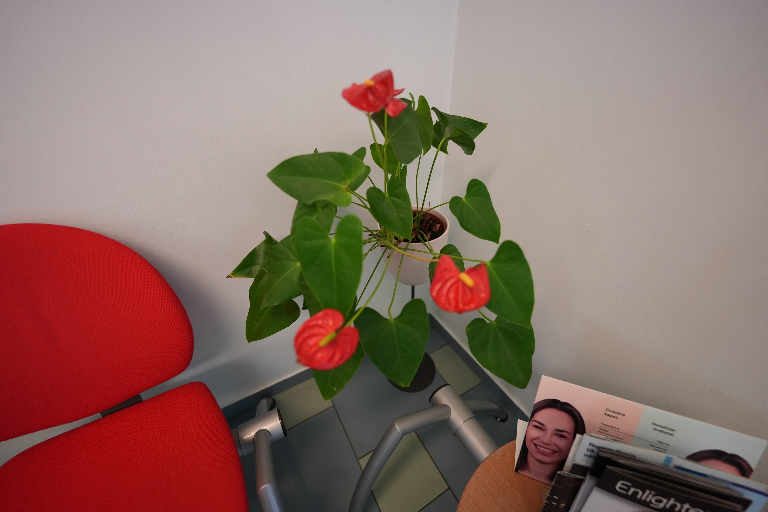 Butų, gyvenamųjų namų, komercinių patalpų fotografavimas. Elina Sapiega fotografė Vilniuje