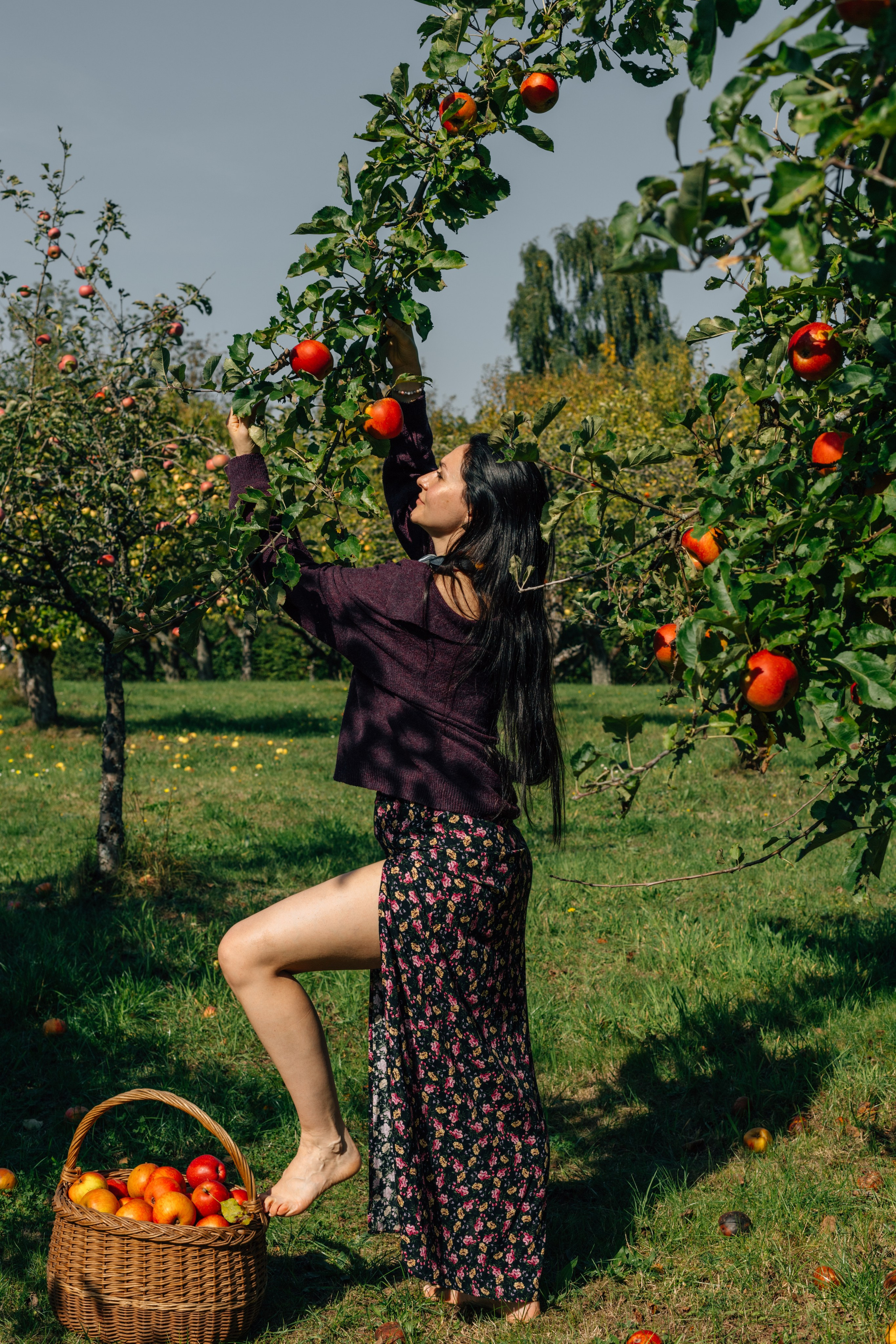 In Garten. PHOTOgrapher Germany MARBURG