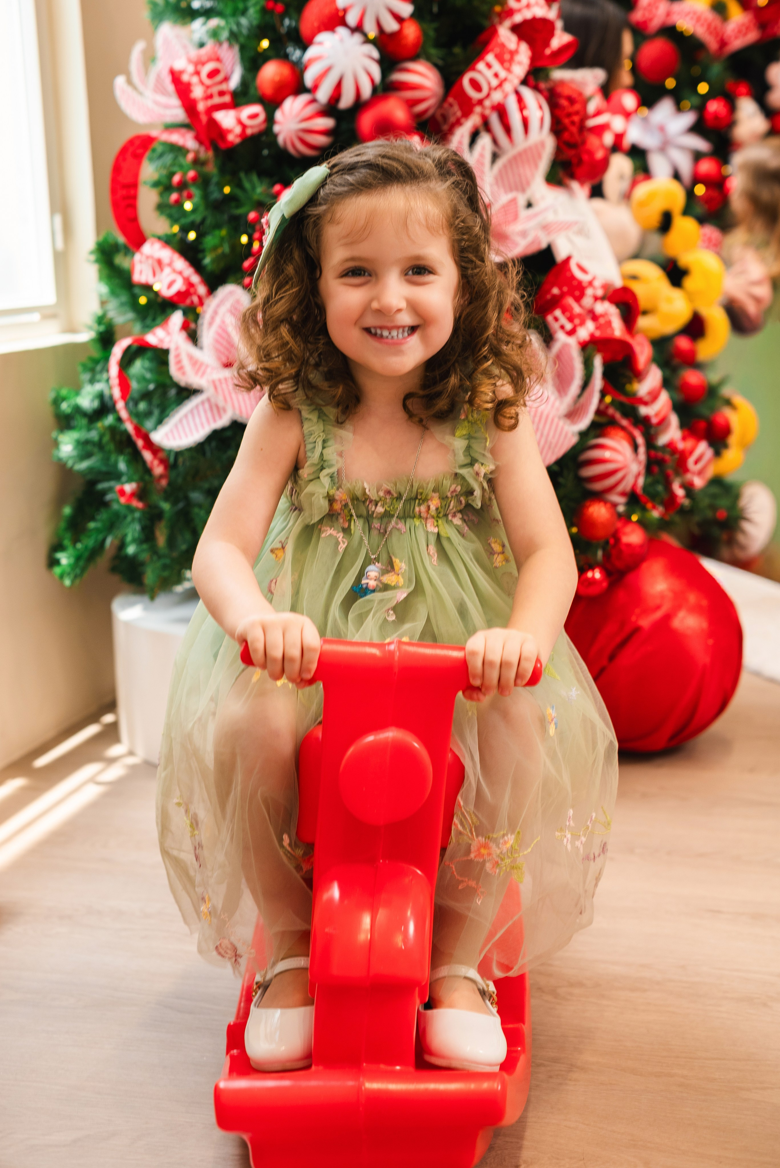 Natal Encantado. Fotografo de casamentos e famílias no Espirito Santo — Marllus Milanez