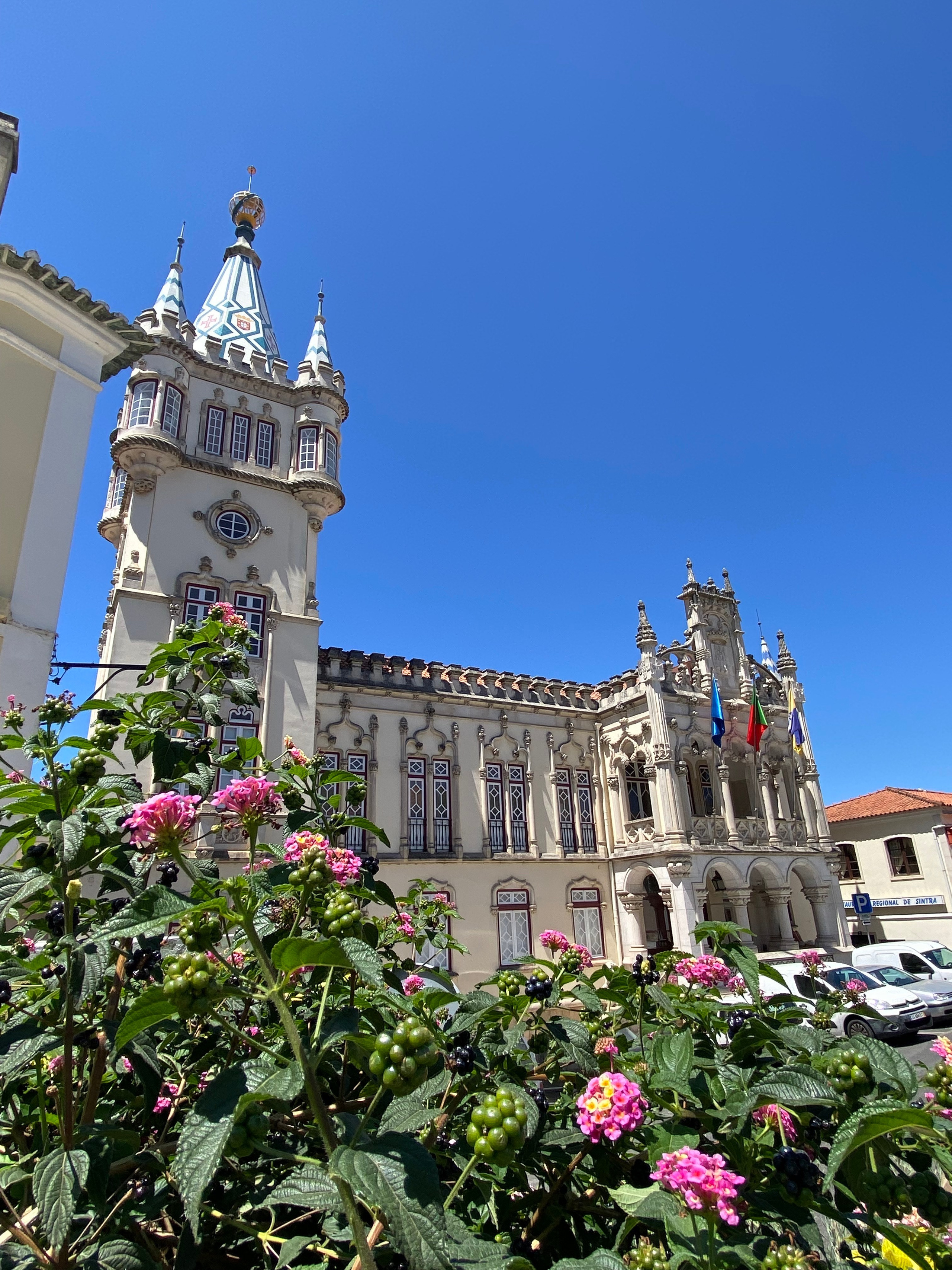 Jógový pobyt v Portugalsku 2024. Mateřství. Nevýchova. Život v souladu s přírodou. Jóga