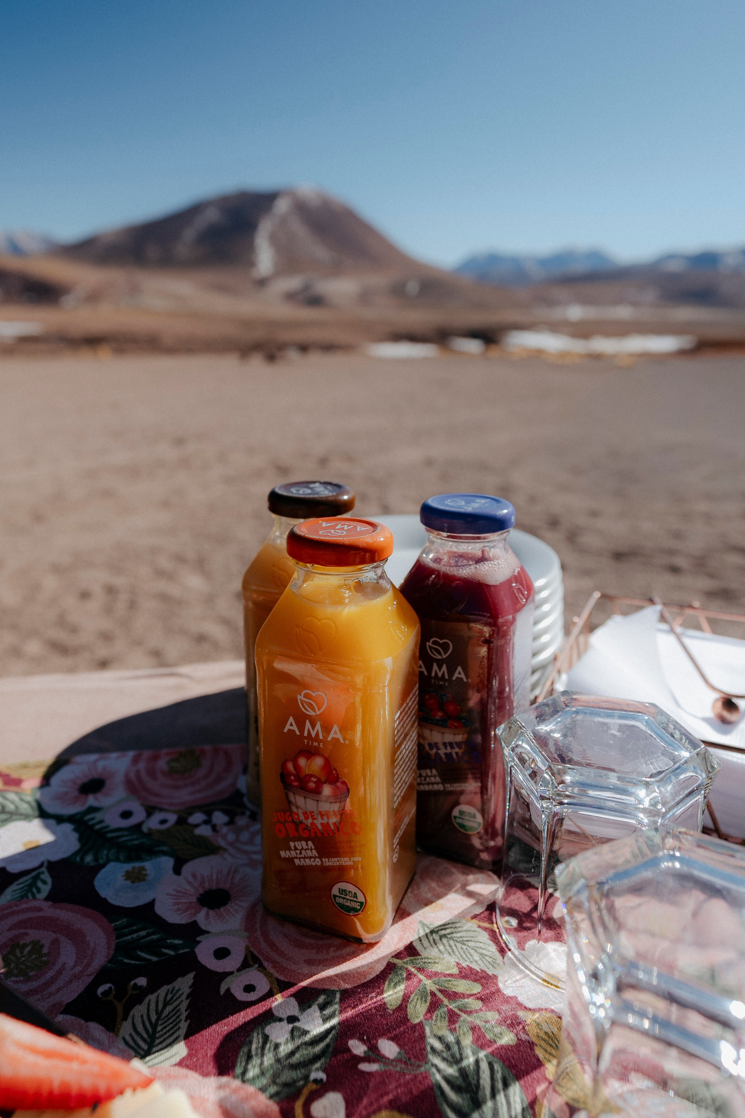 Geyser El Tatio (cobertura en tour privado). Principal