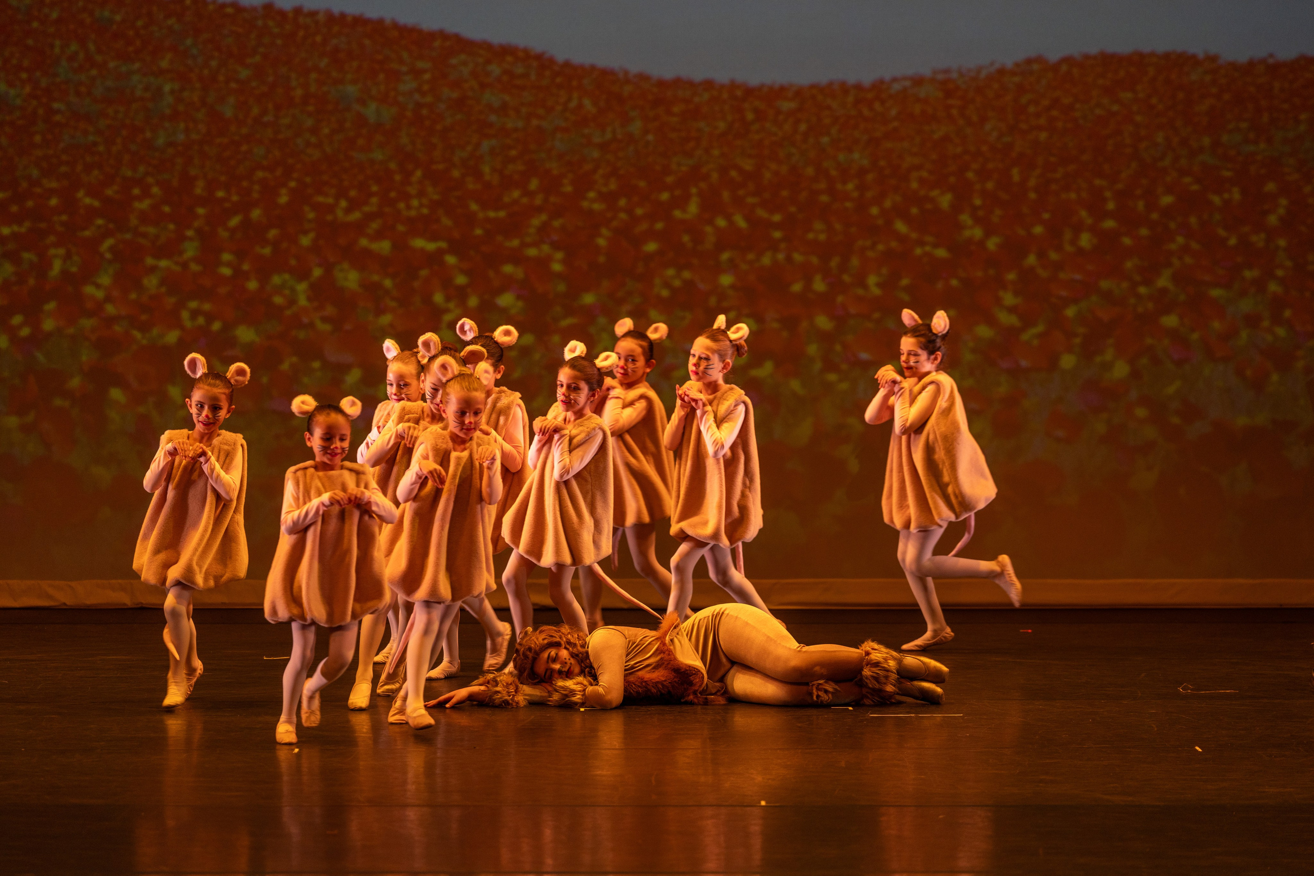 Ballet Photographer Los Angeles. Santa Clarita Photographer