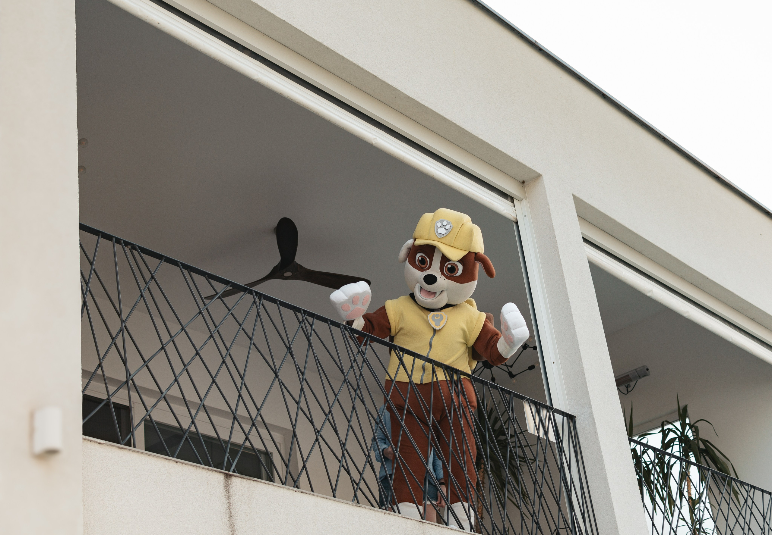 Jakov, rođendan. BambinaaPhotography