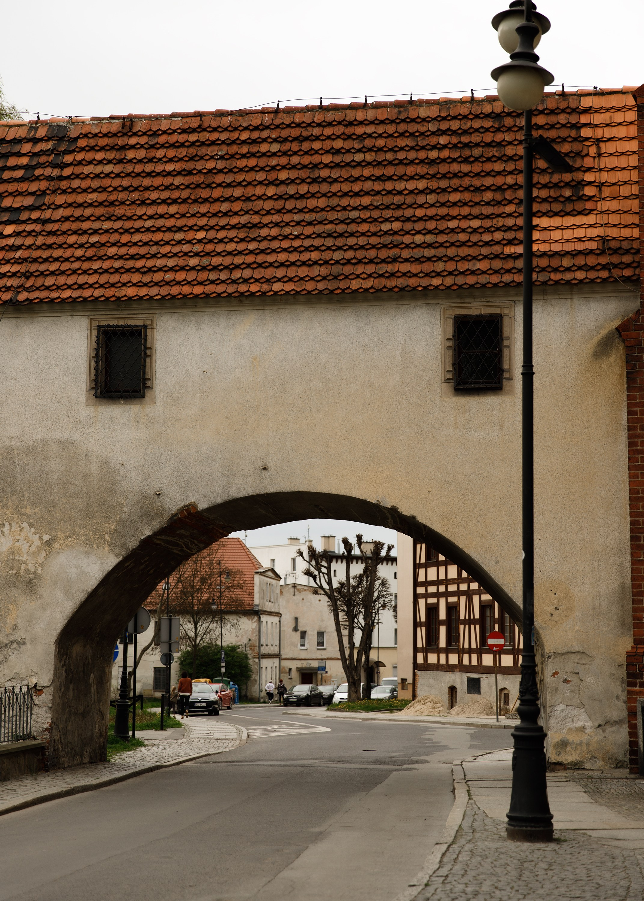 Oleśnica castle. Kaja | fotograf psów we Wrocławiu
