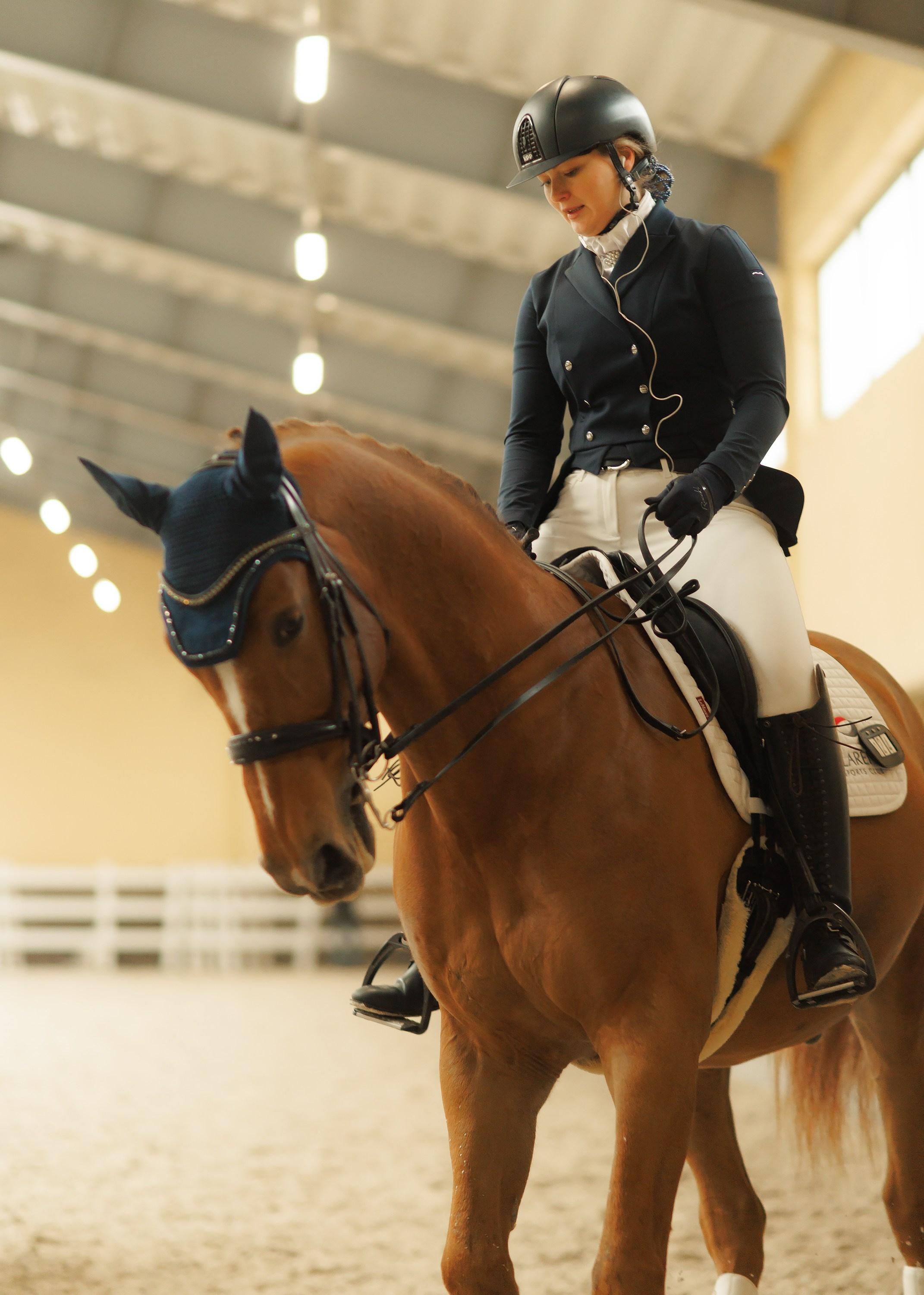 Fotografia koni Wrocław \ ujeżdżenie, Partynice. Kaja | fotograf we Wrocławiu | ludzie i psy