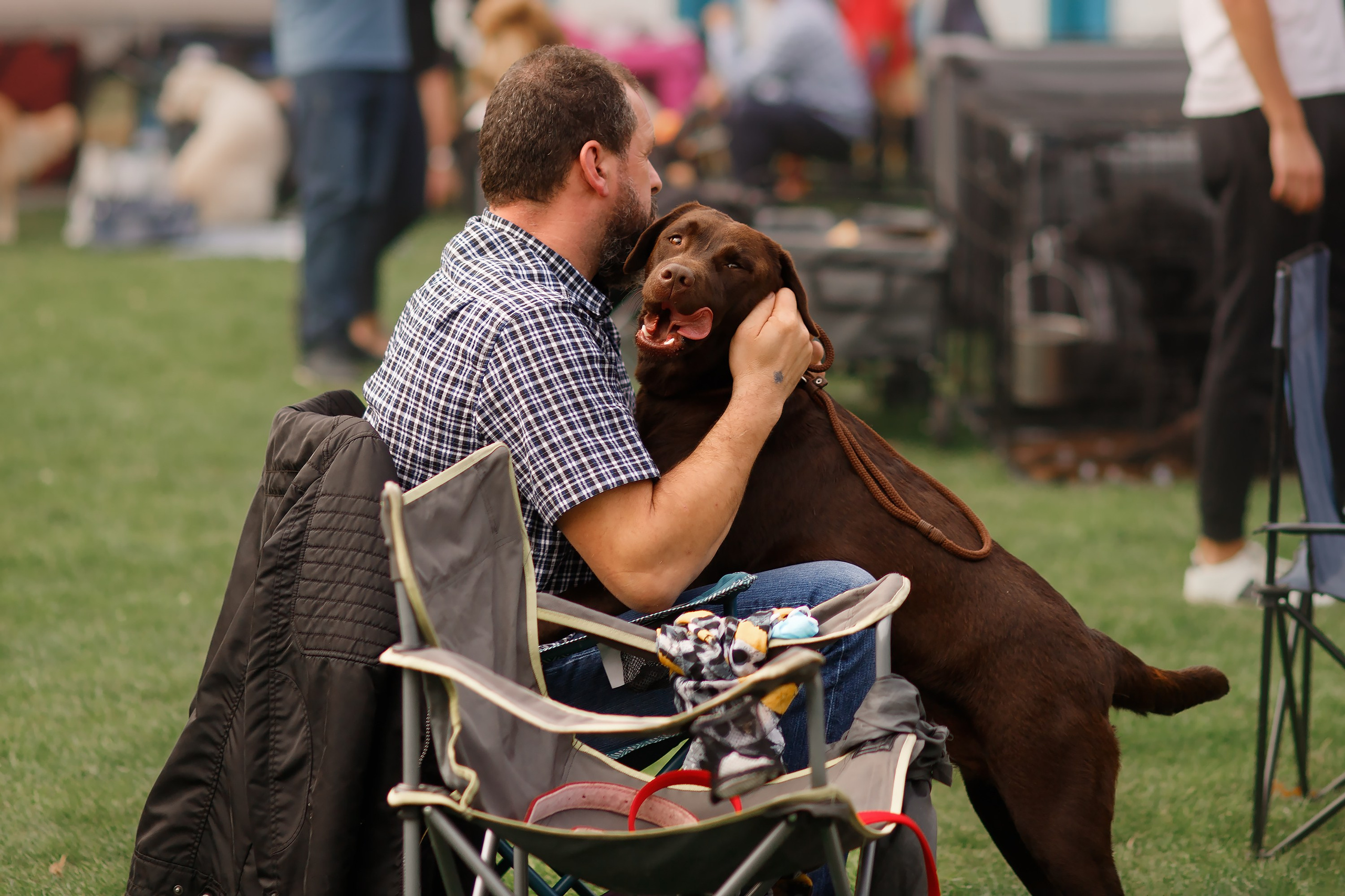 Dog shows | the best ones. Kaja | fotograf psów we Wrocławiu