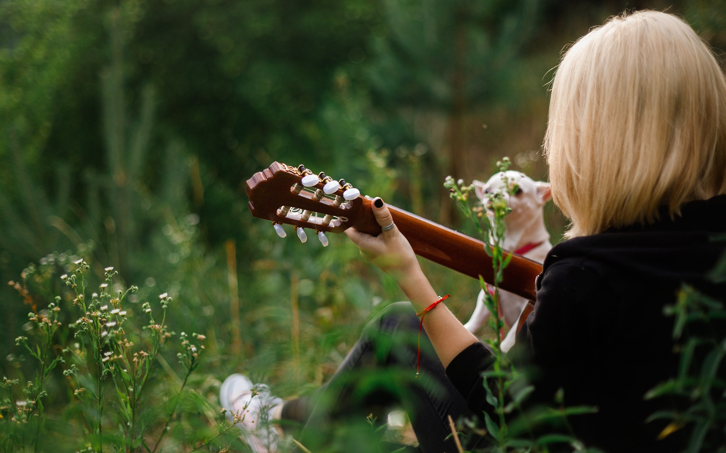 Polina & her chihuahua. Kaja | fotograf we Wrocławiu | ludzie i psy
