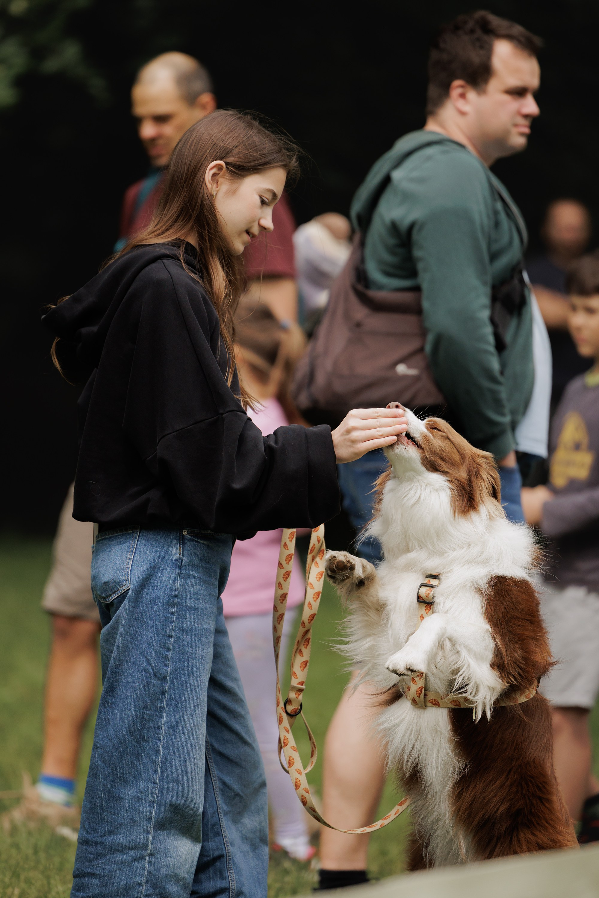 Latające psy, Wrocław'25. Kaja | fotograf psów we Wrocławiu