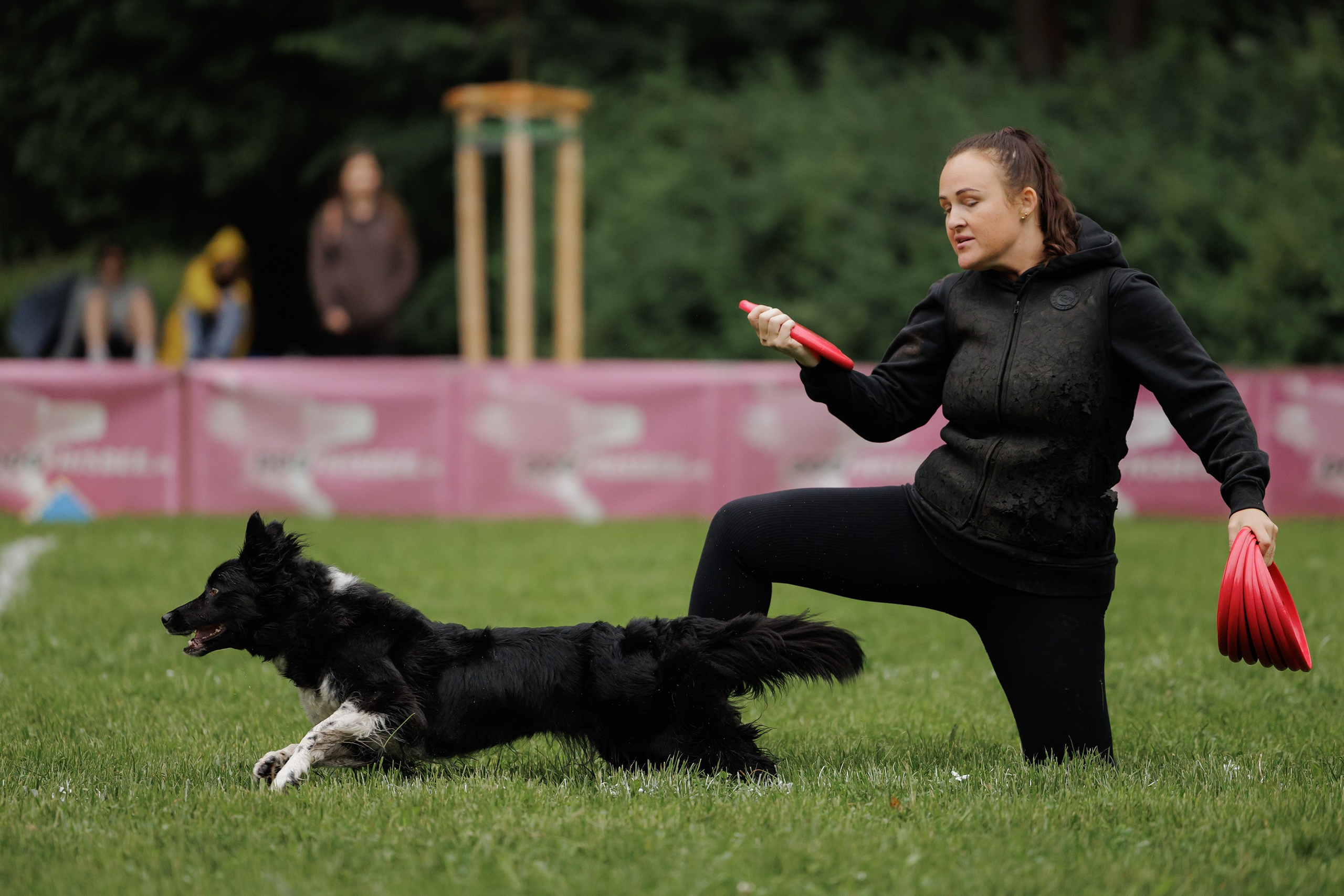 Latające psy, Wrocław'25. Kaja | fotograf psów we Wrocławiu