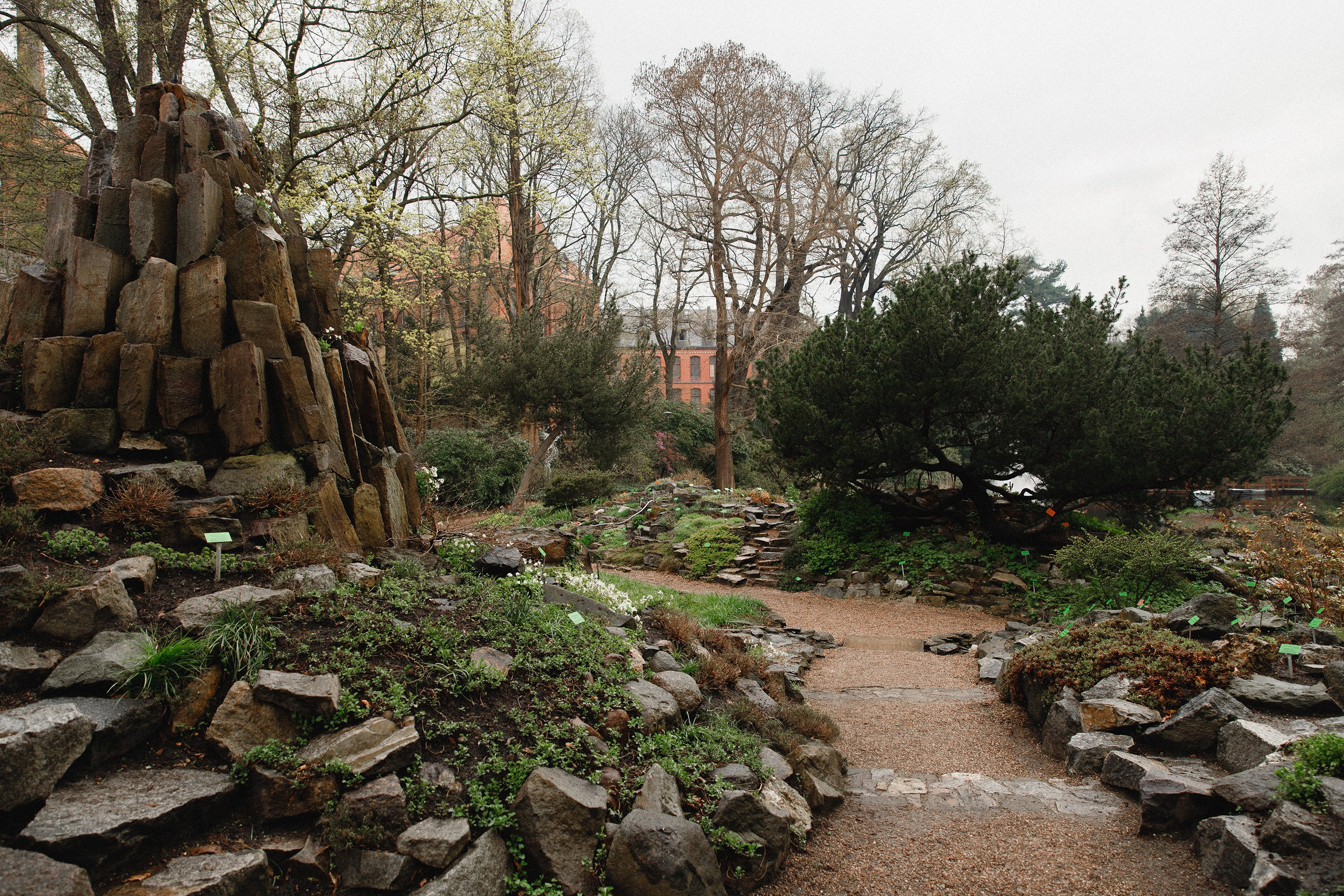 Botanical garden in Wroclaw. Kaja | fotograf we Wrocławiu | ludzie i psy
