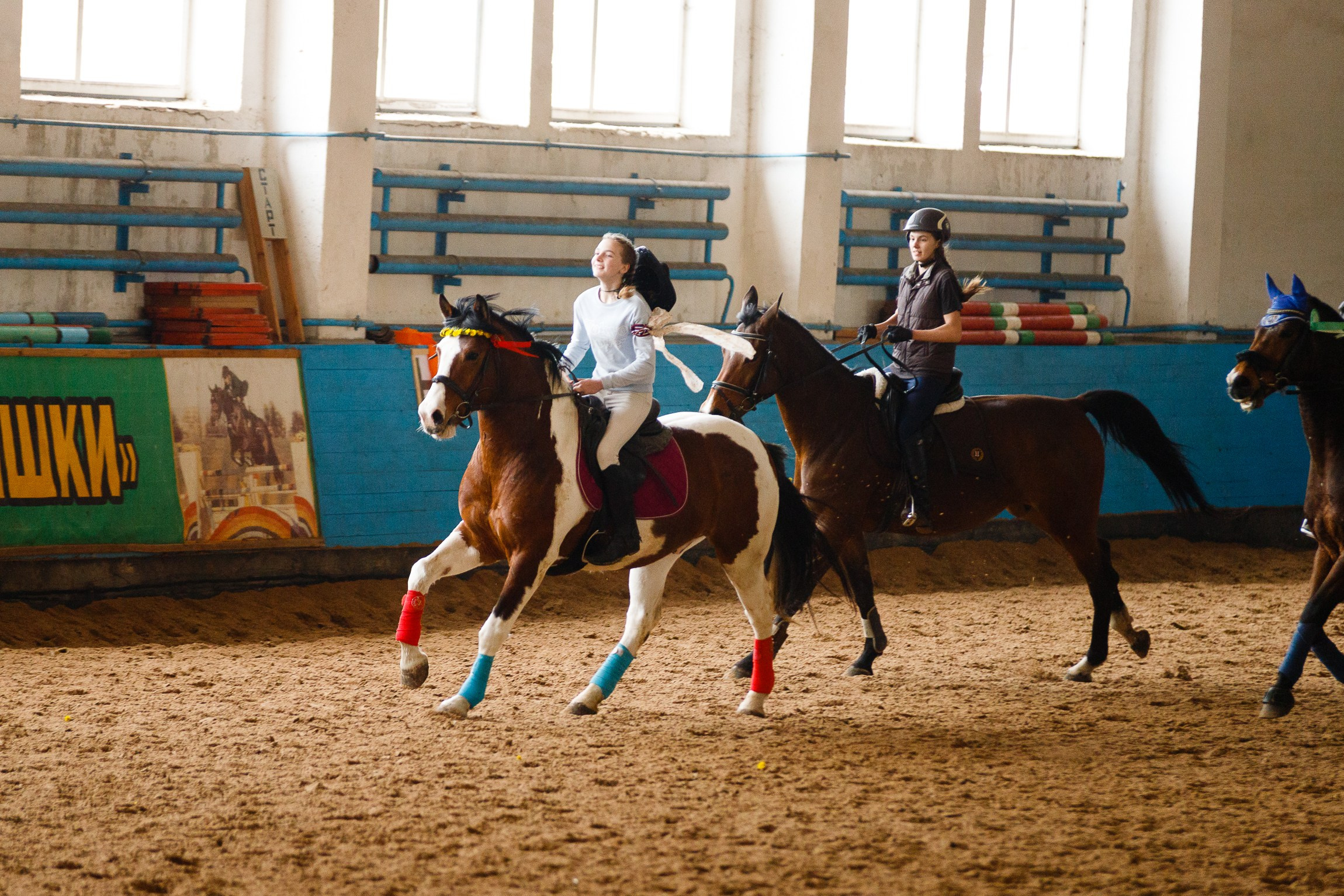 Horse winter games. Kaja | fotograf we Wrocławiu | ludzie i psy