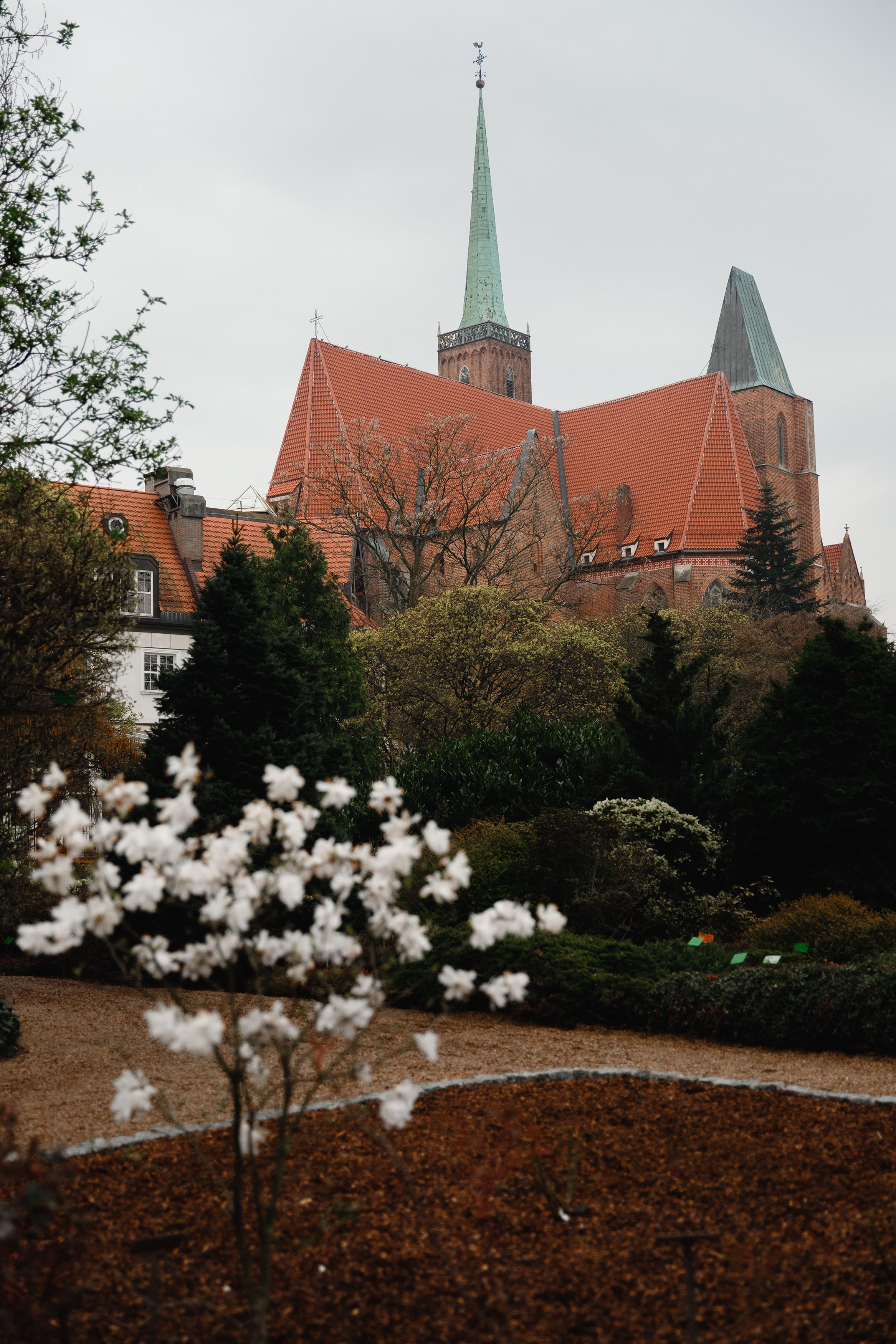 Botanical garden in Wroclaw. Kaja | fotograf we Wrocławiu | ludzie i psy