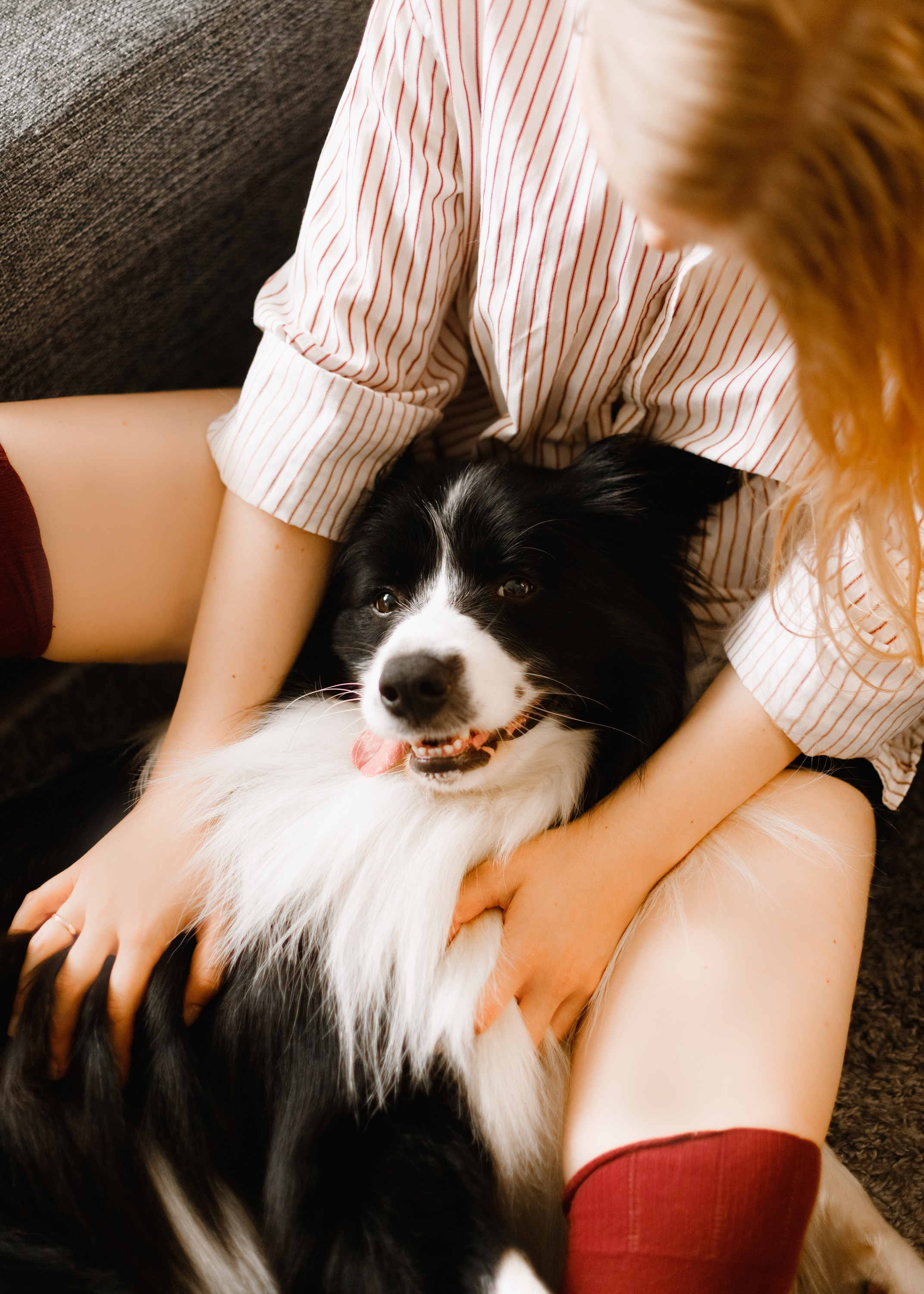 Evgenia & Richard. Kaja | fotograf we Wrocławiu | ludzie i psy
