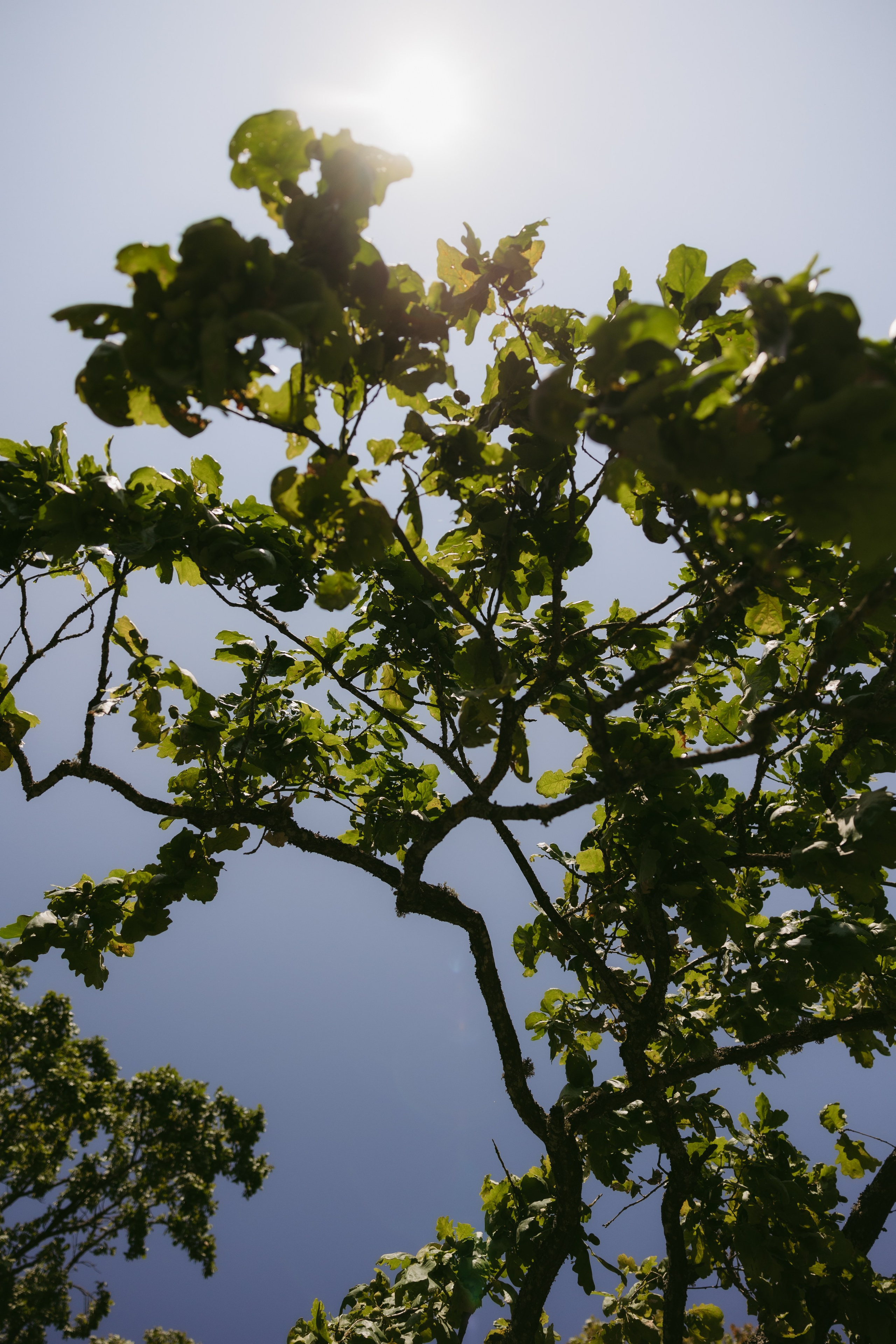 Krikštynos | 2025. Vestuvių ir šeimų fotografė Lena Bondarenko / belove photo