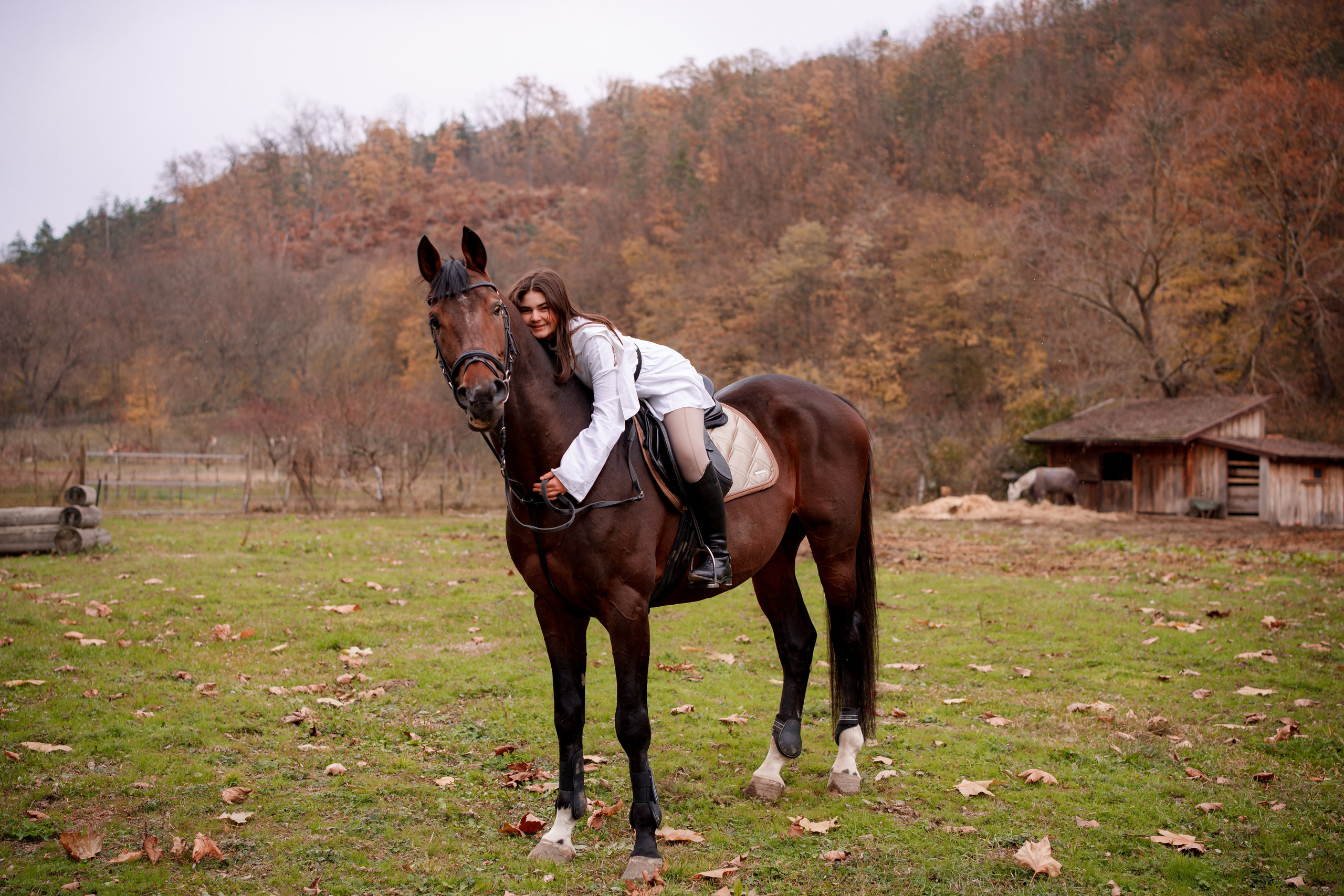 Clasa 8-a. Trendy Albums