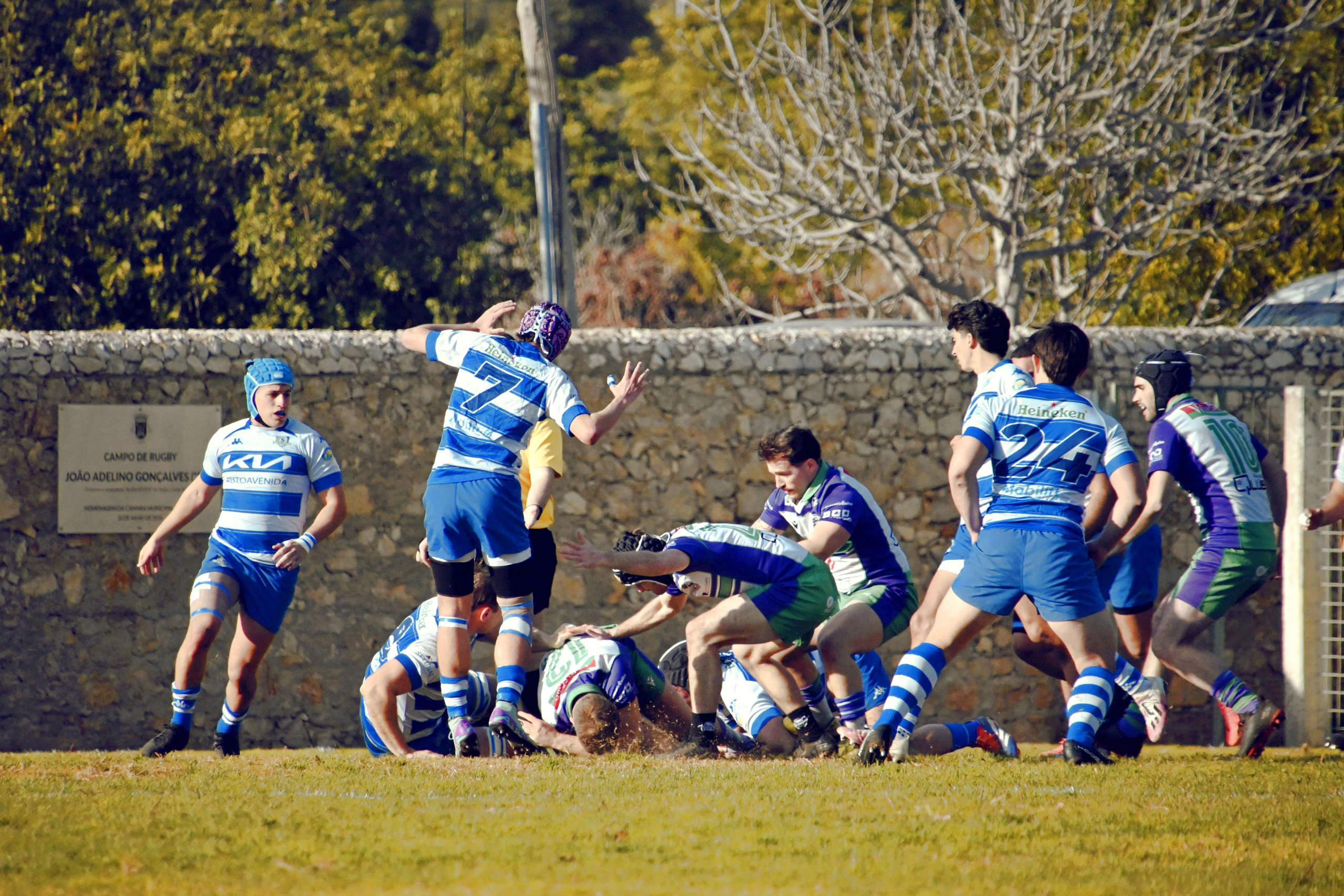 Ragby. Prime_Frame_Studio