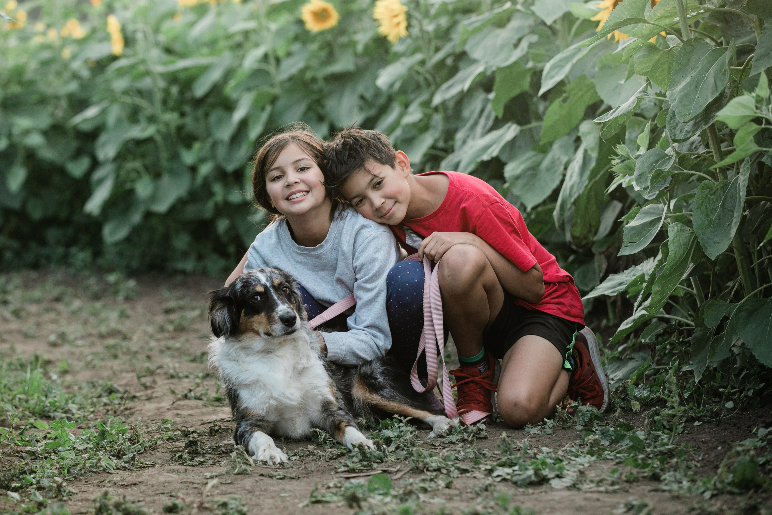 Bowden Sunmaze — Ana Pau & Johnathan. Ching Li Photography