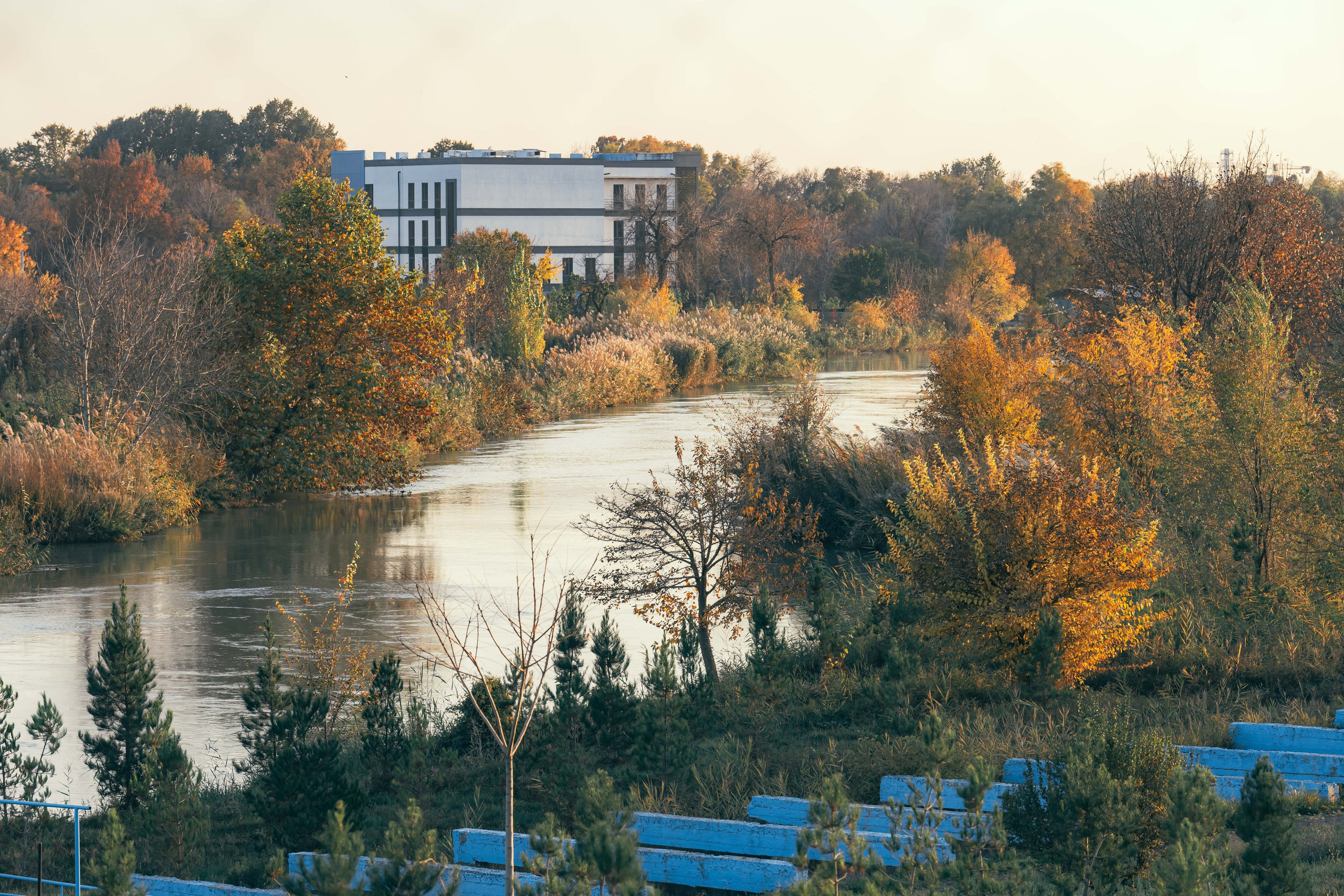 Ташкентская осень. Георгий Намазов | Фотограф в Ташкенте