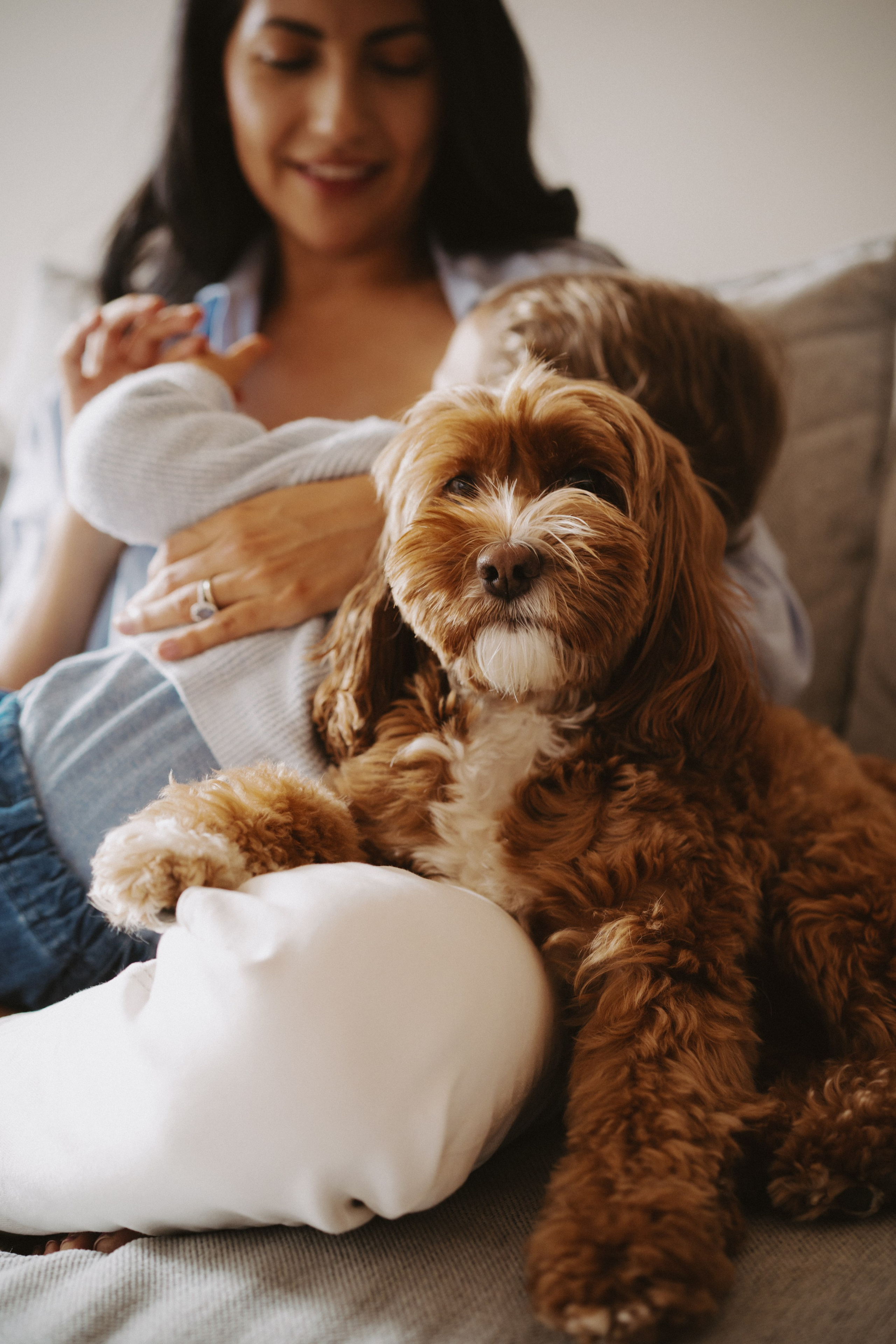 Maximilian. Elena Baturina Photography