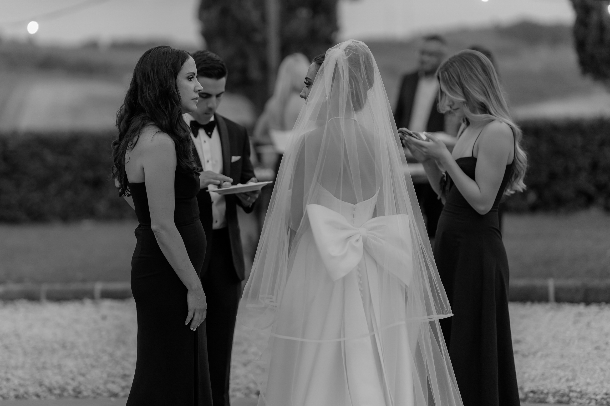 Dom&Ally. Весільний фотограф Вікторія Саврук