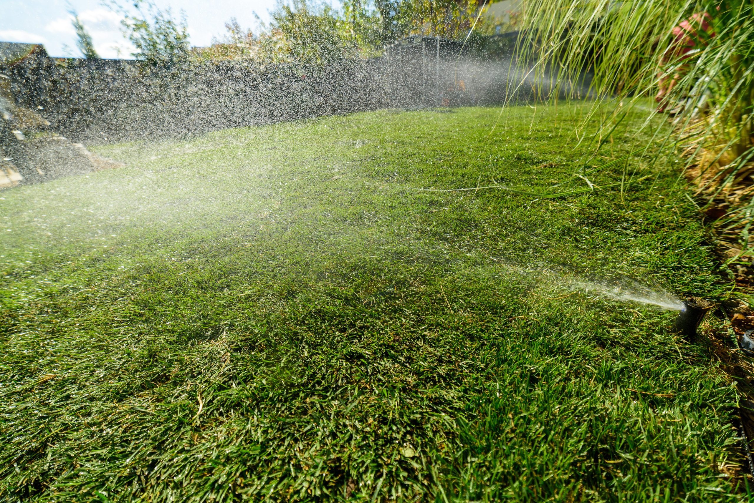 Fotograf corporate, fotografii amenajare gradina, pret fotograf corporate, Servicii Profesionale pentru Evenimente de Business, Portrete business, fotografii pentru evenimente organizate de companii, fotografie de produs, Poze business bucuresti, Fotografii profesionale bucuresti, Fotografii portret profesionale, fotograf corporate Bucuresti, Fotografie E-commerce, pret fotograf corporate, fotografie corporate pentru profil web sau reviste, produse comerciale, fotograf hala de productie, evenimentele companiei, fotografii de portret angajati, fotografii echipa, fotografii site, fotografie comerciala, fotografie curti feng shuy, fotografie gazon, amanejarea gradinii