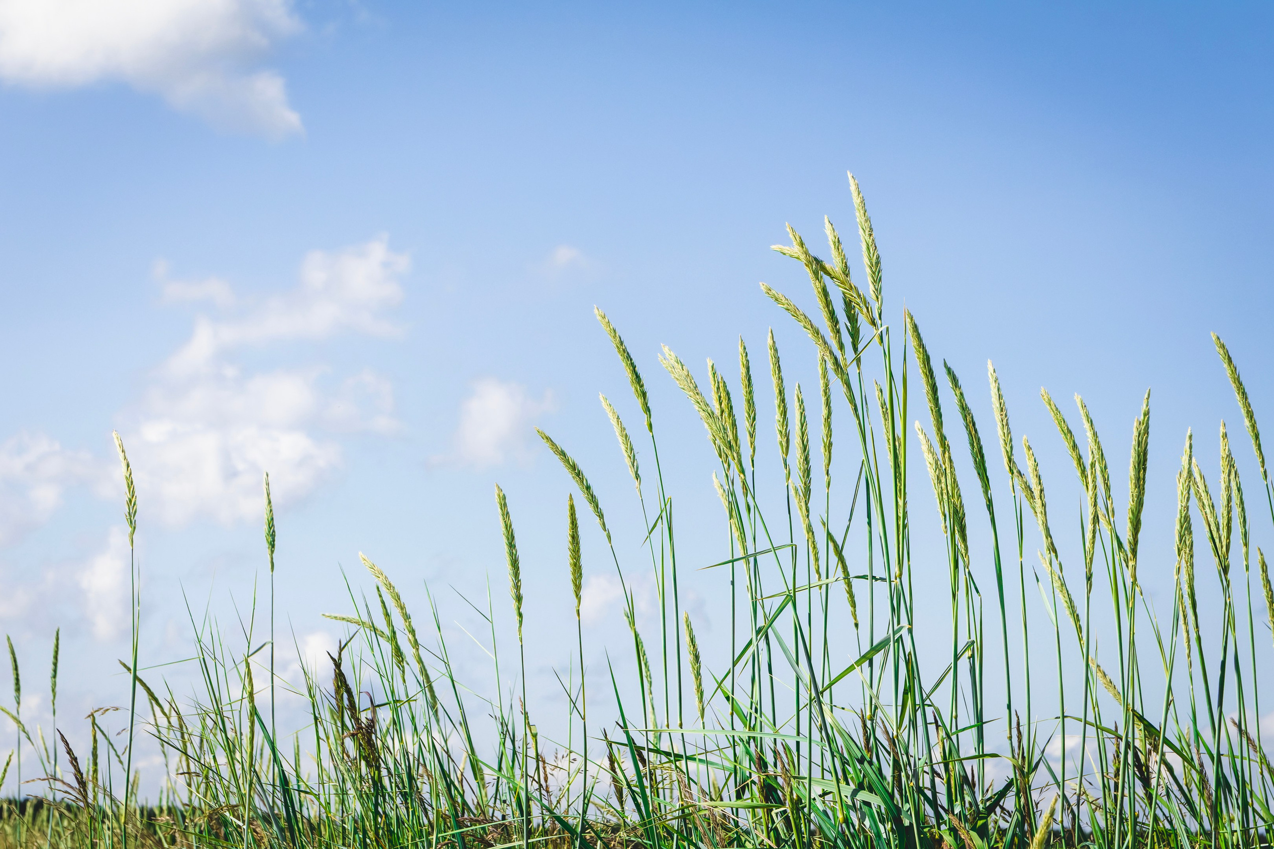 Jalgrattasõti, Klooga-Laagri (Kostja S. ja Ilja). Nebula 25 — Fotod teie hingele