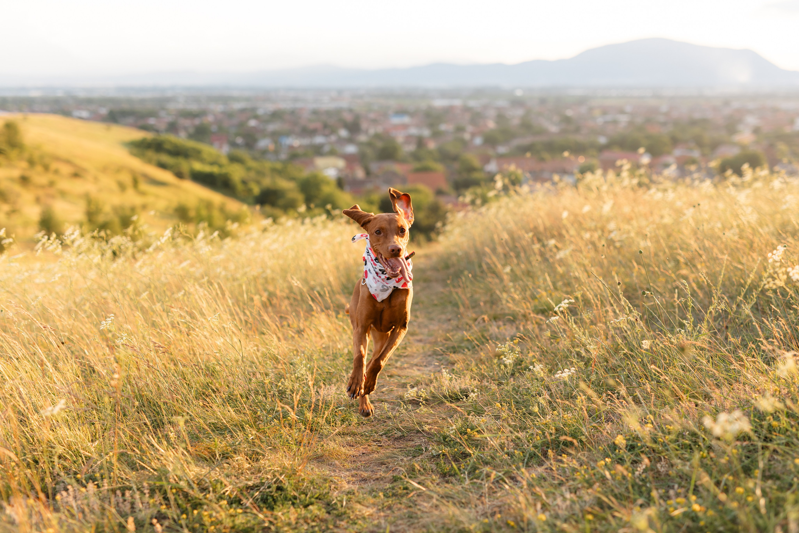 Nico, Luci & Ilaria — Family. Main