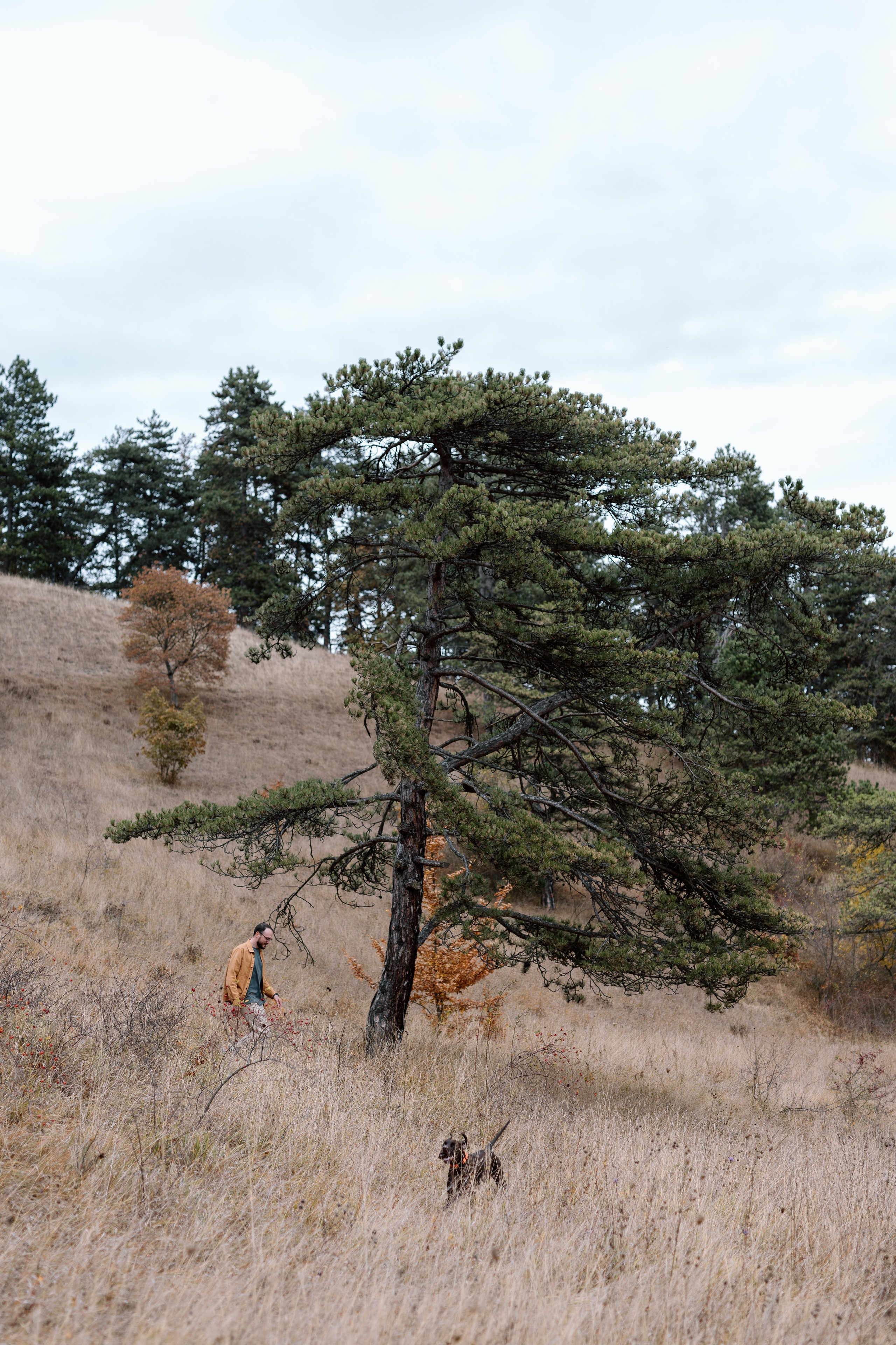 Iosana & Grisha. Main