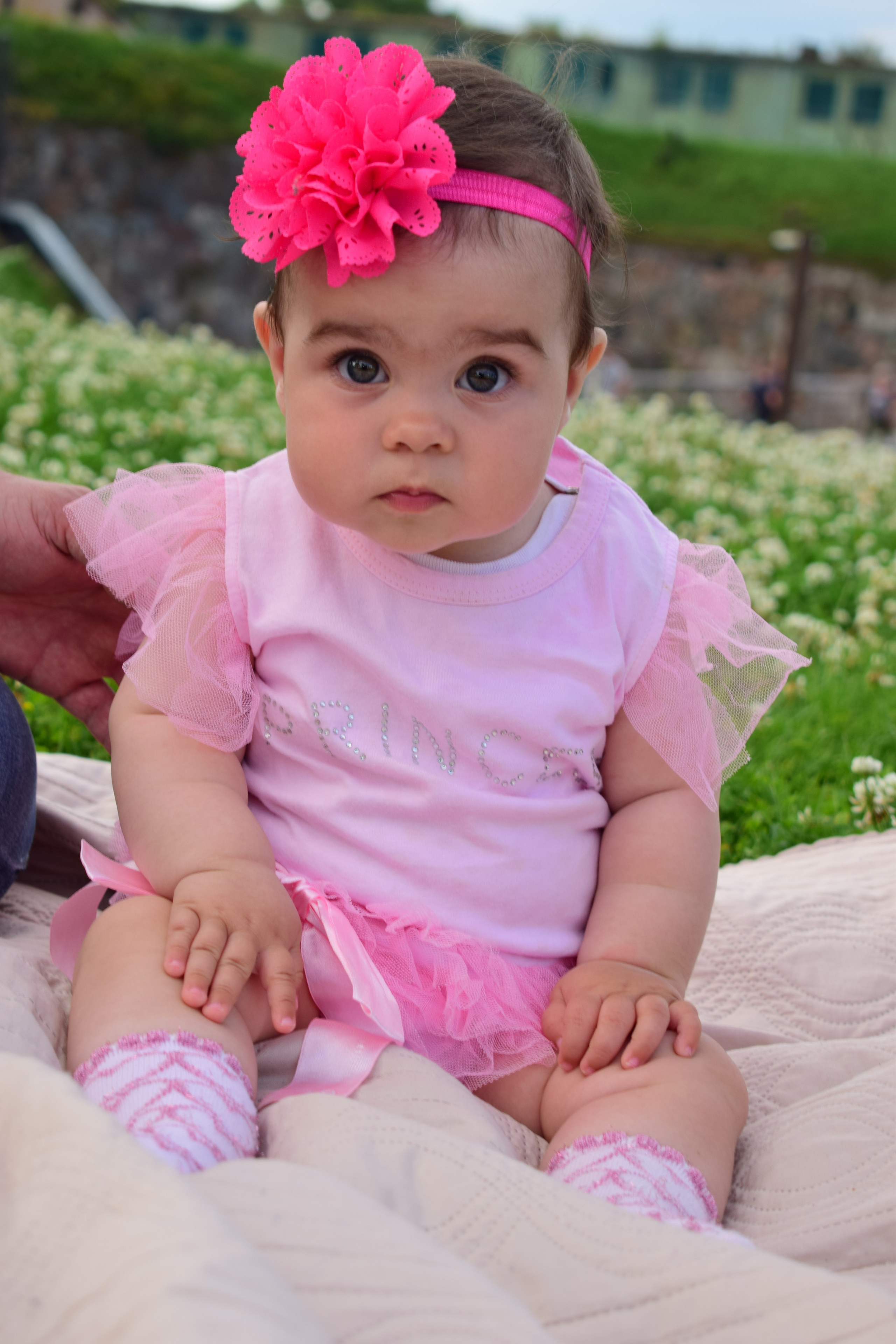 Dmitrij and Diana. Photographer Margarita Antonova in Naas, Co Kildare