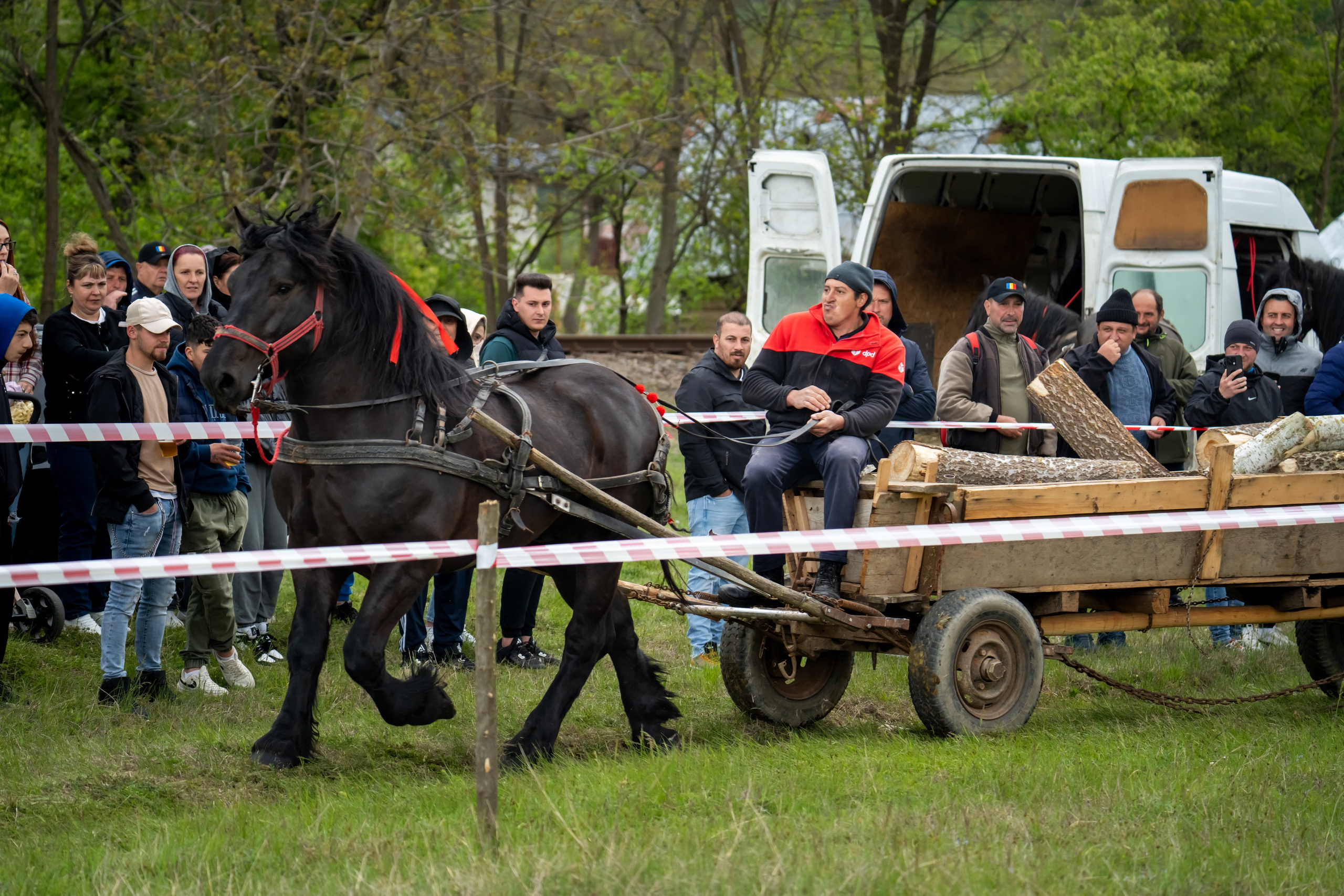 Concurs Ecvestru Vărbilău ediția a 4-a. Mihai Alexandra Events