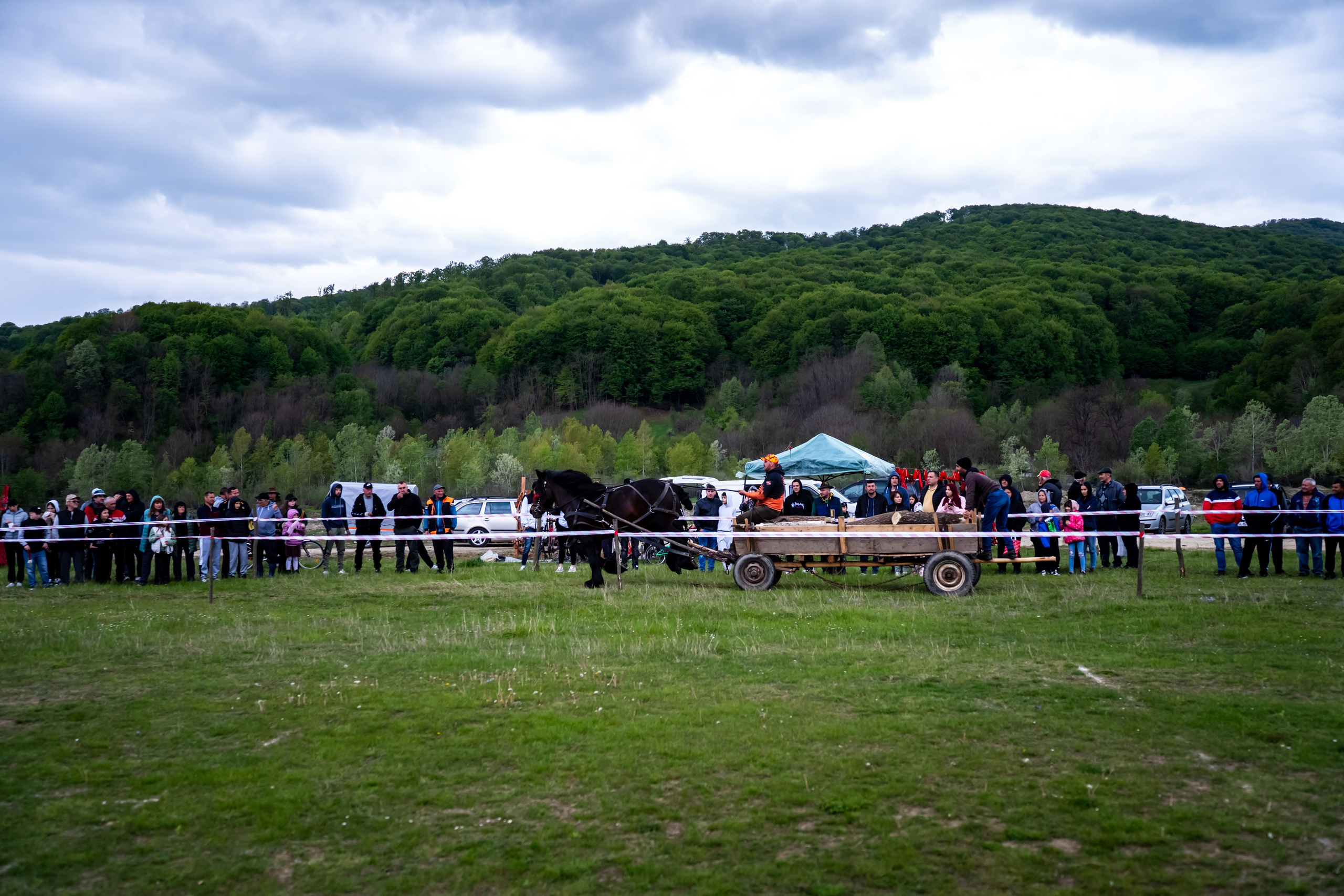 Concurs Ecvestru Vărbilău ediția a 4-a. Mihai Alexandra Events