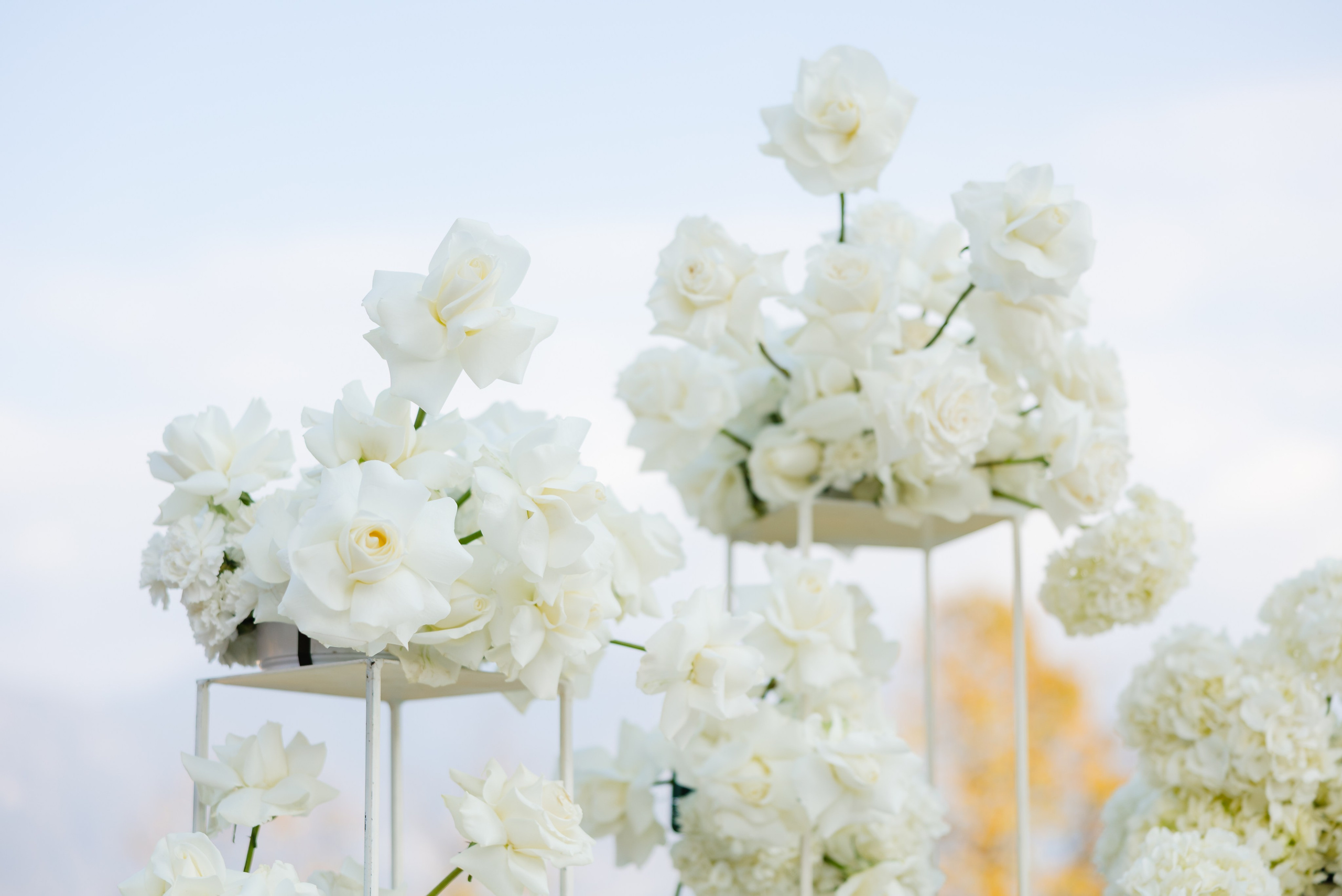 That’s Amore — Nina & Darren’s Lake Como Elopement. YES I DO PRODUCTION — Wedding photography&videography