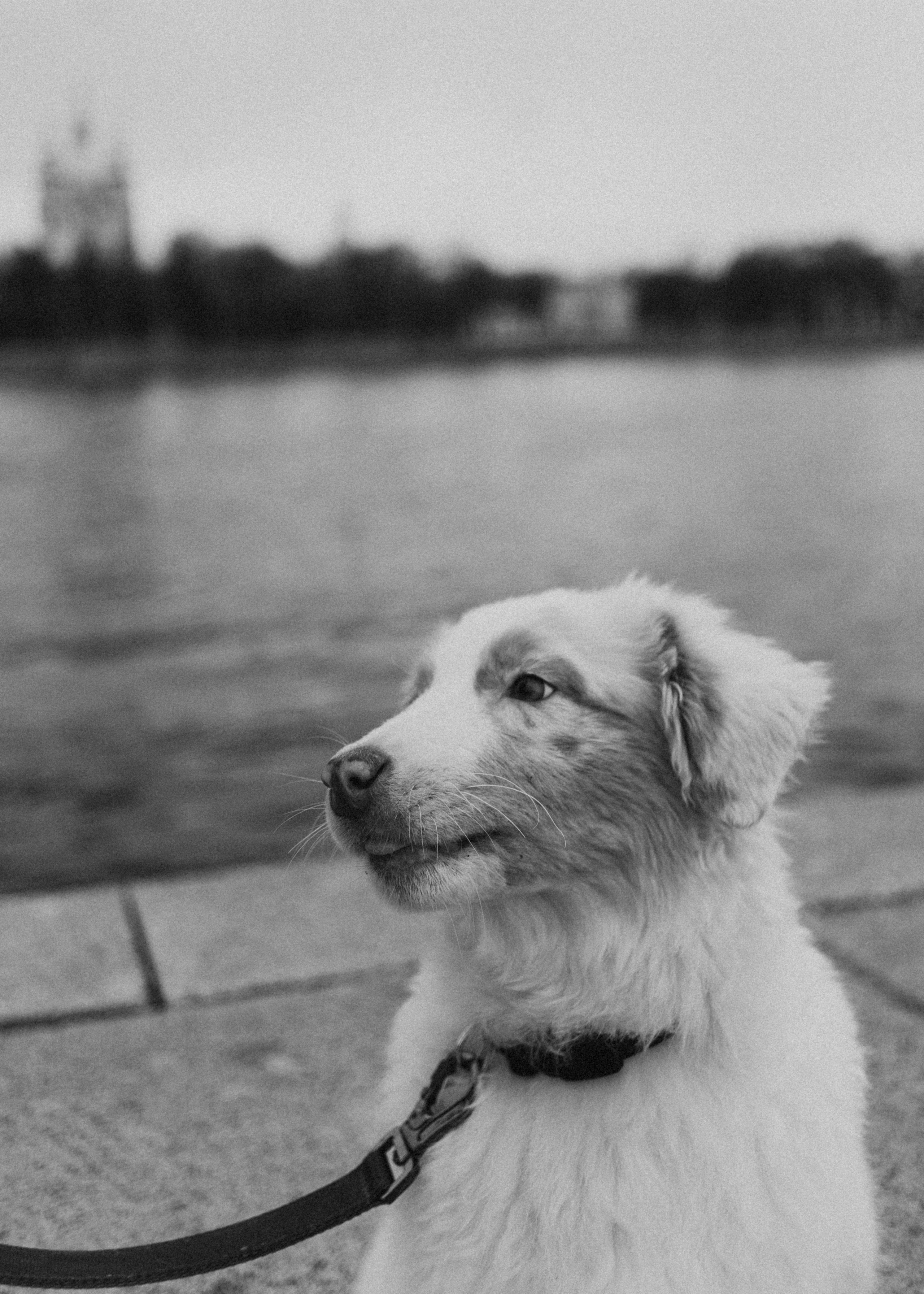 Anna&Cosmo. Pagina principale