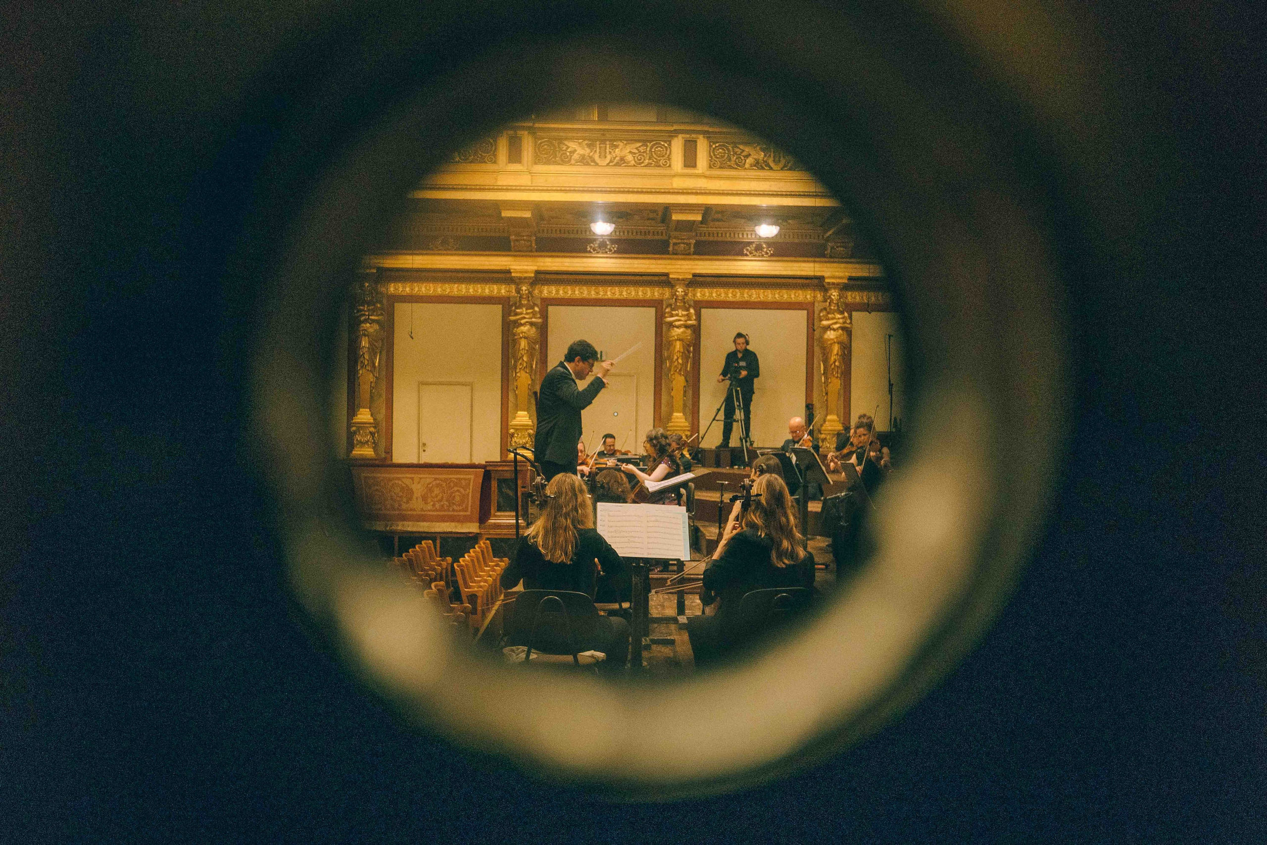 MUSIKVEREIN (VIENNA). Wedding&Event photographer Ismail Rzayev in Baku