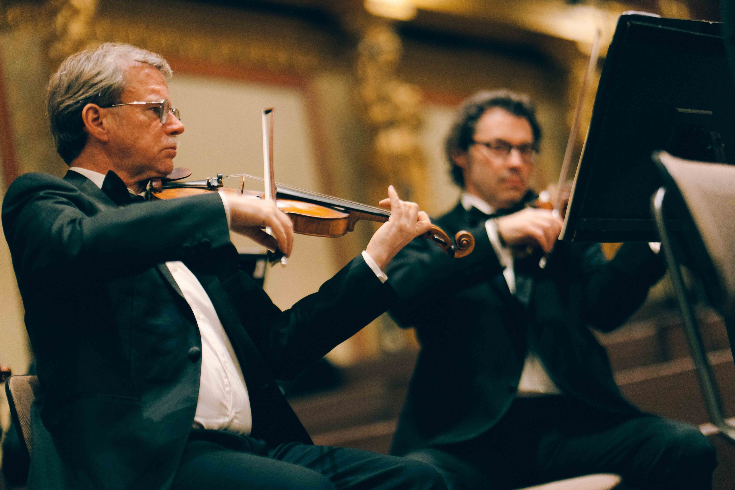 MUSIKVEREIN (VIENNA). Wedding&Event photographer Ismail Rzayev in Baku